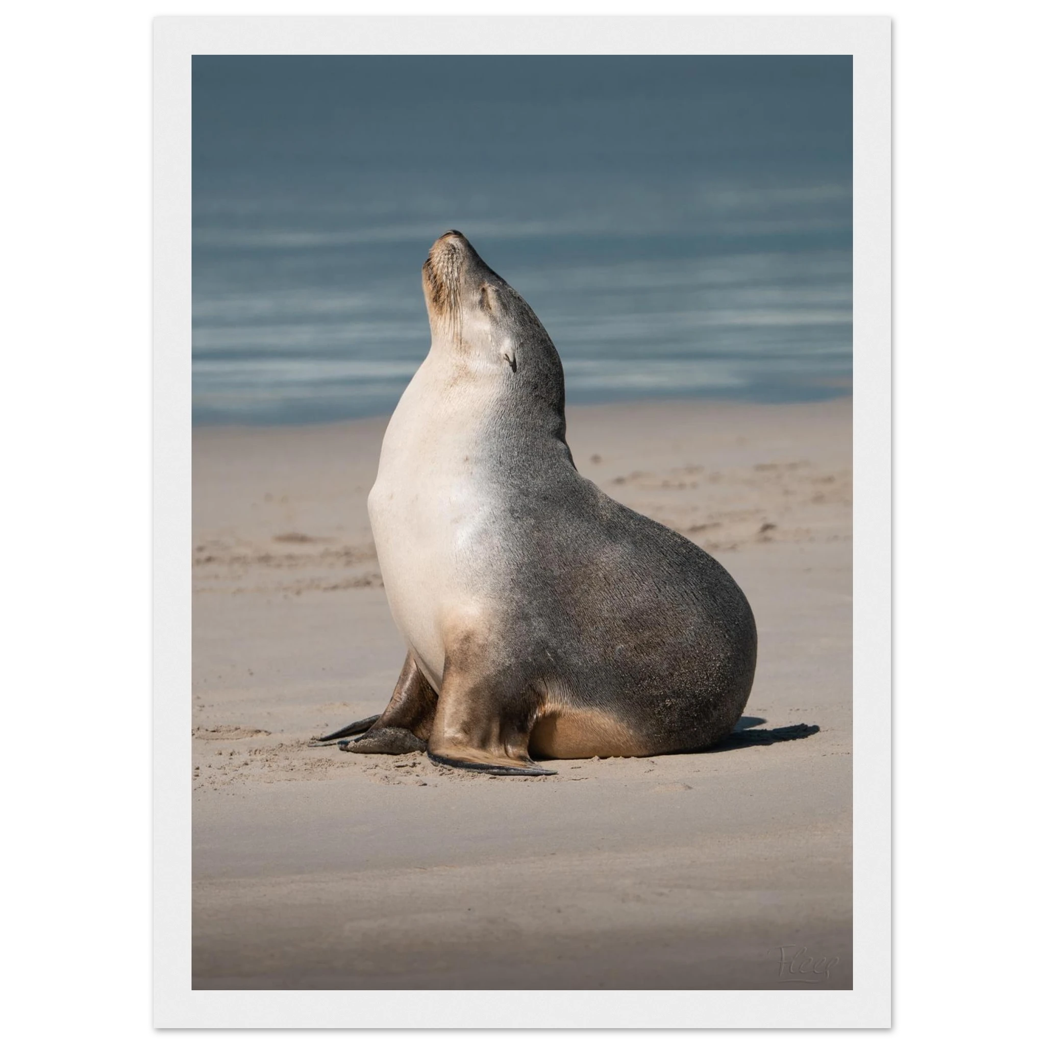 9de2667e-ff65-4380-b4c8-560bbeb9b3d5