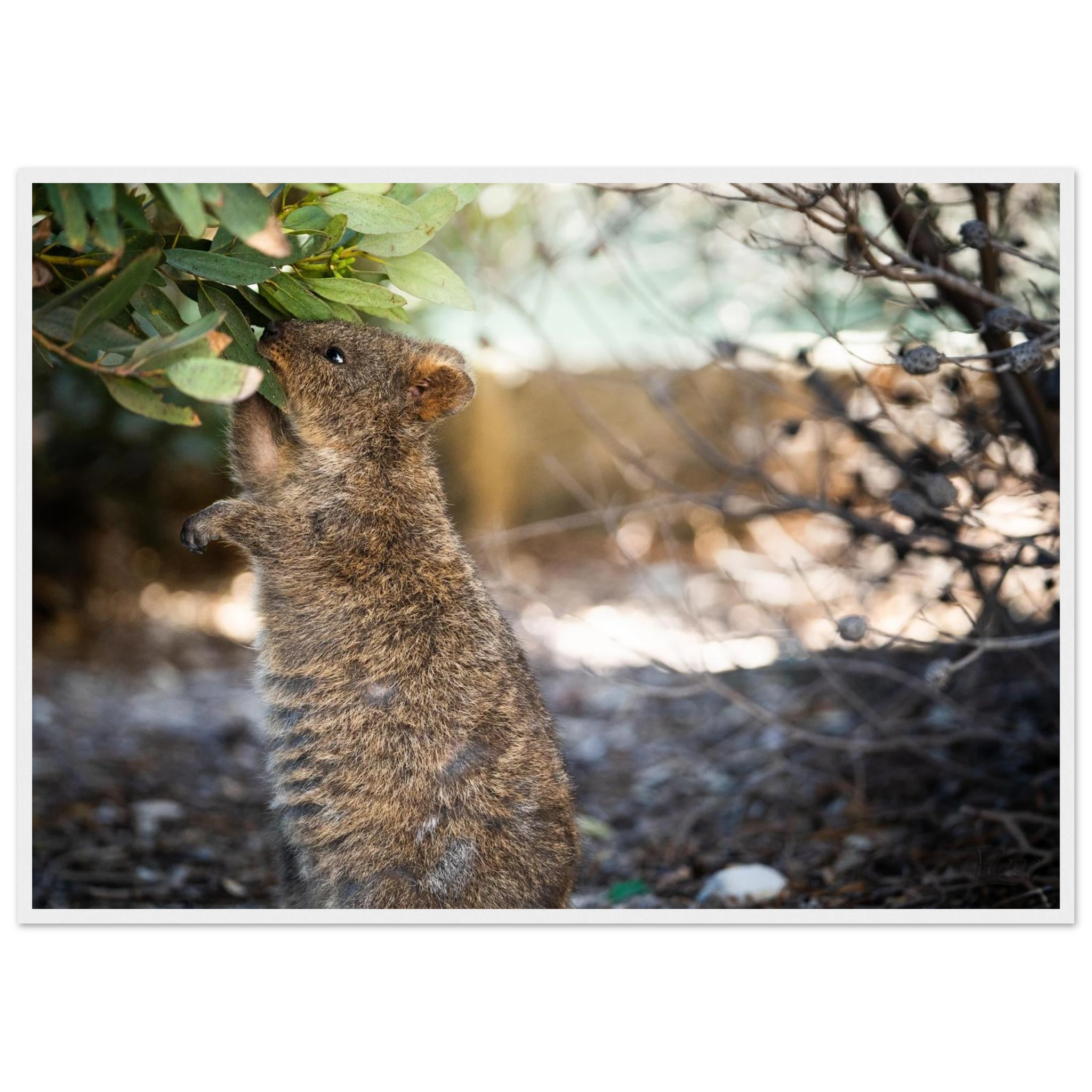 9e85180b-8a93-4a3f-86b8-ea01e3034b5b