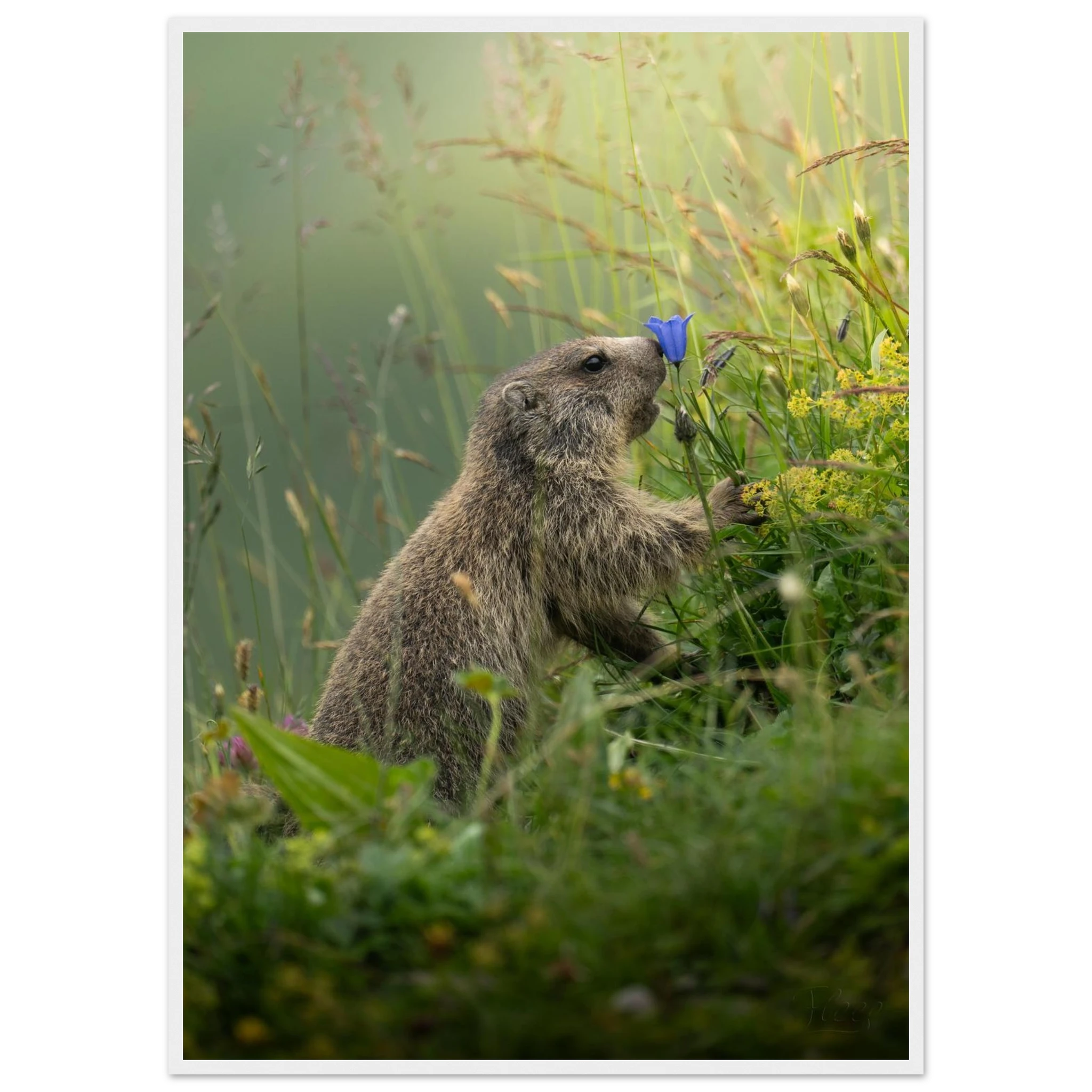 9ef05529-42c1-49f2-a491-0ba936cc904a