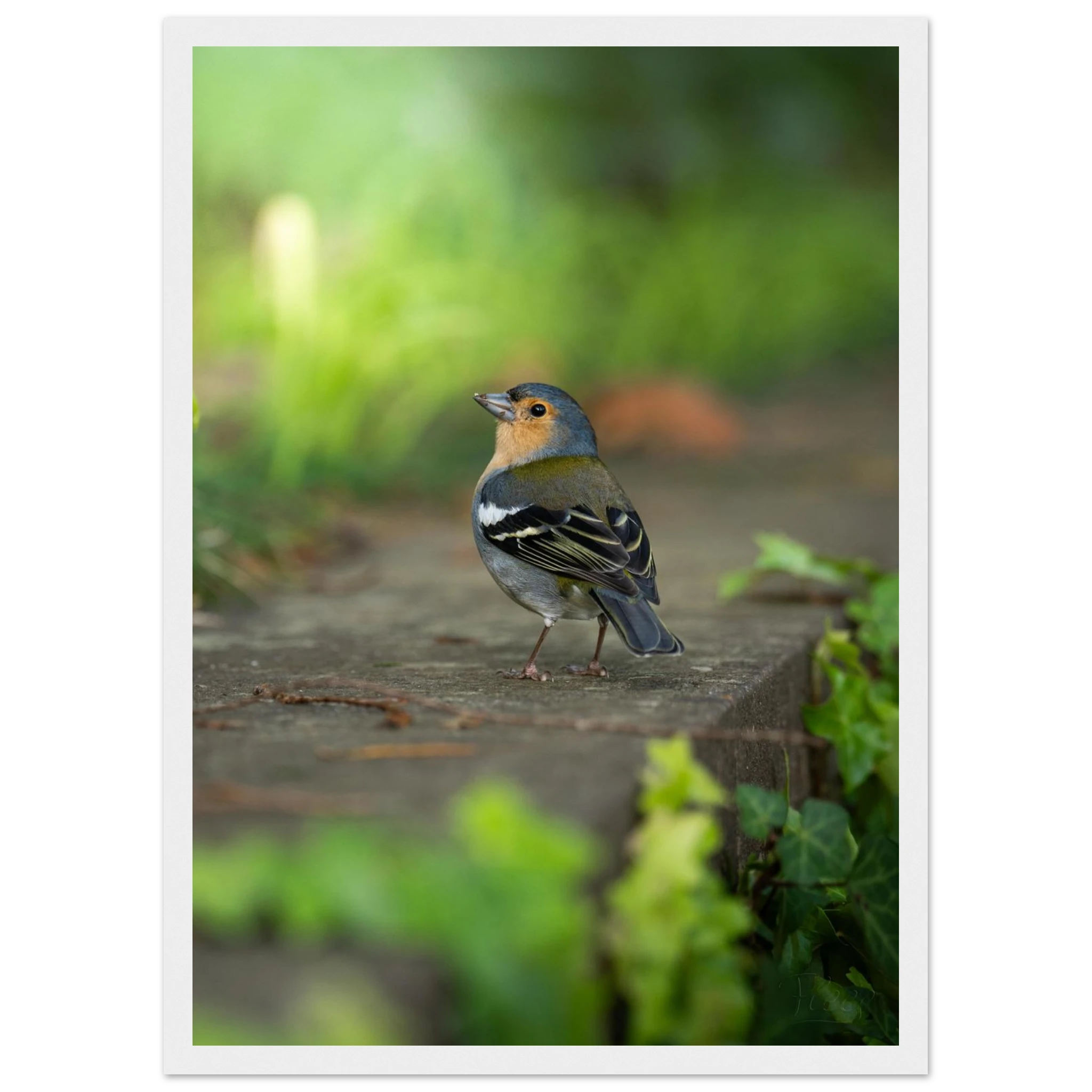 9f175c1c-6ffe-4308-be38-c42b274e8b5c