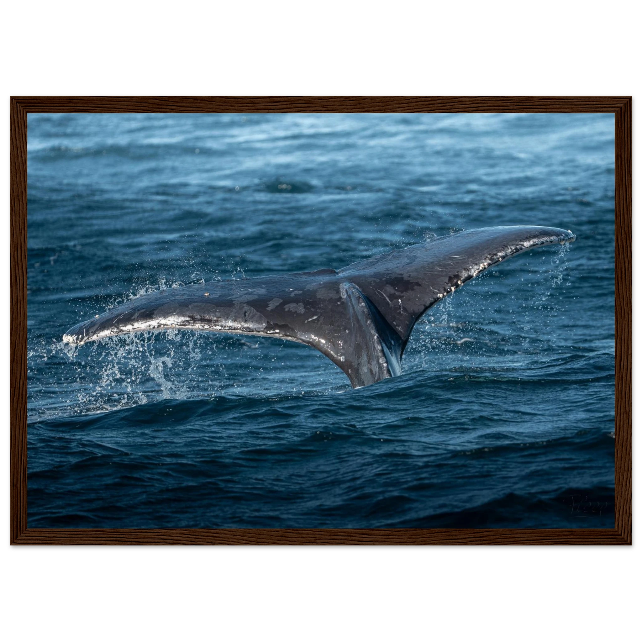 9feae7f1-4b02-4240-93a5-97f51022f39e