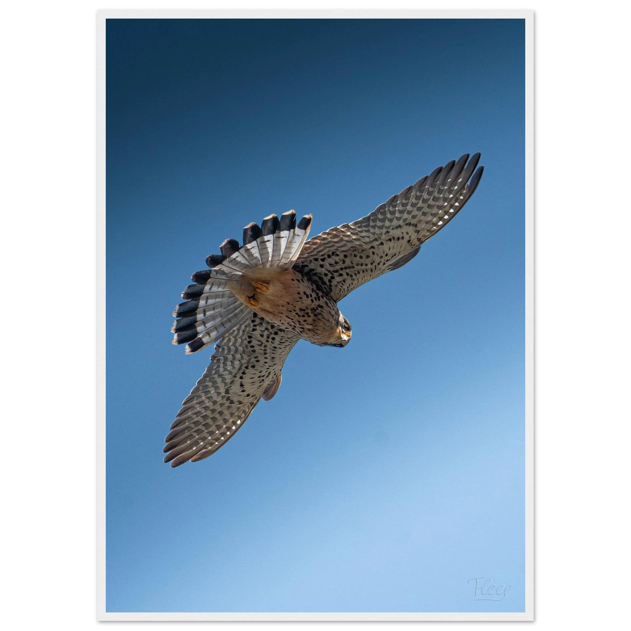 a00be10d-2aed-4a8b-bd62-9dc70ae58632