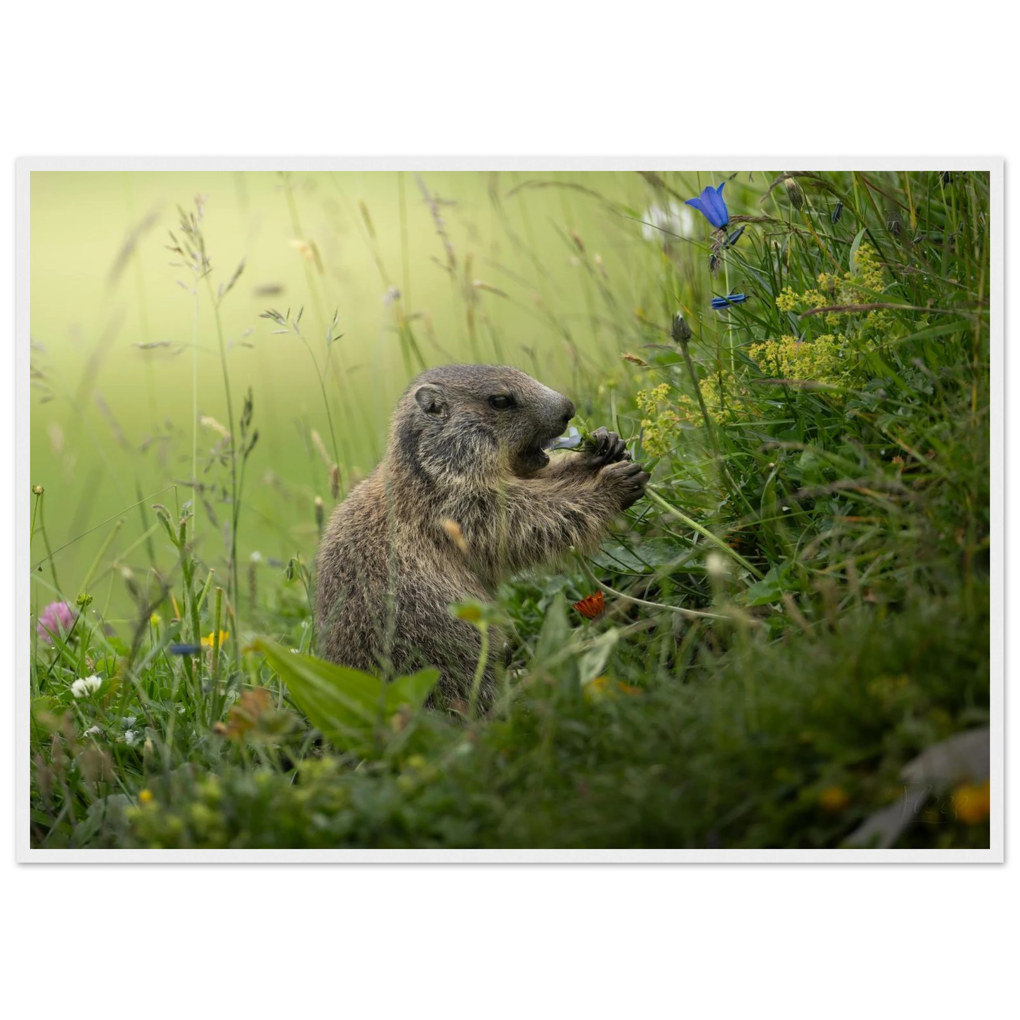 a033f1be-e16f-4d33-a23c-ede5bd68d450