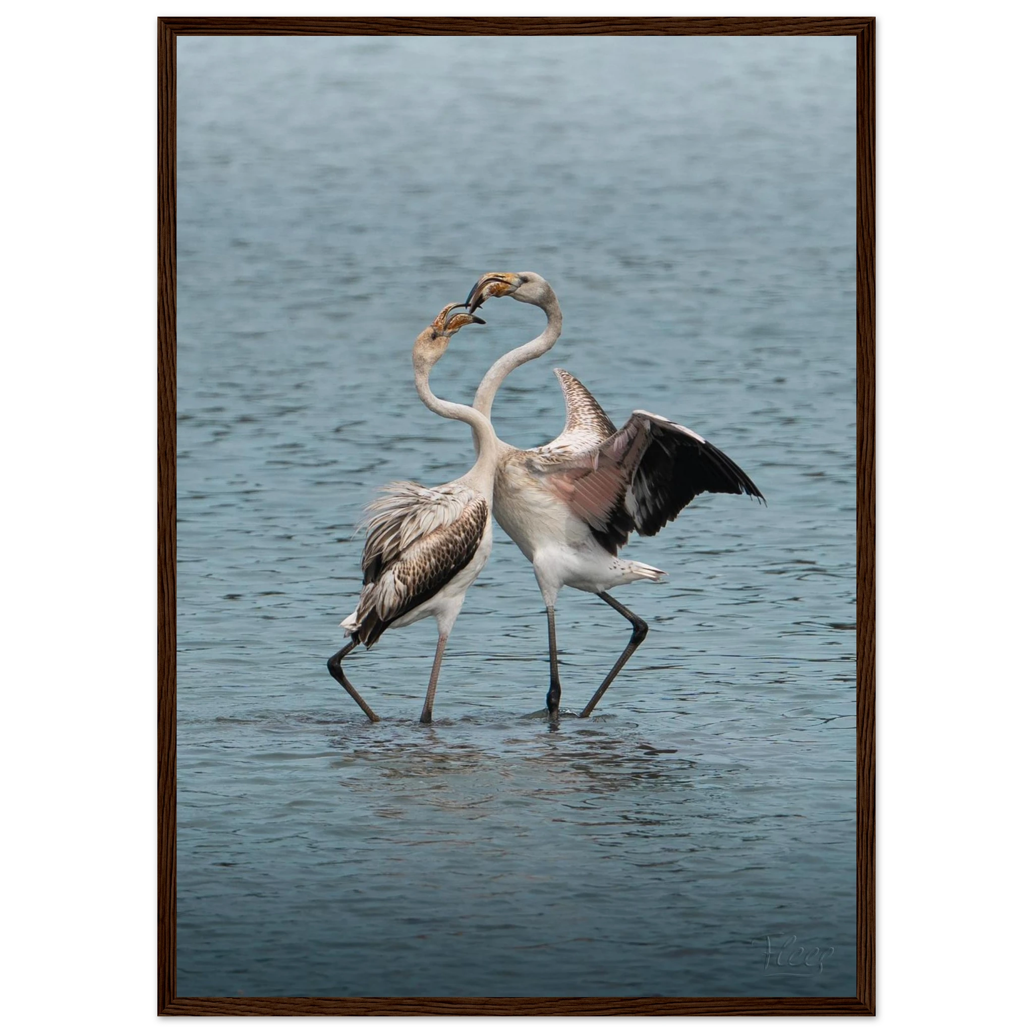 a0e206da-4da1-419f-93ce-8ecaad473814