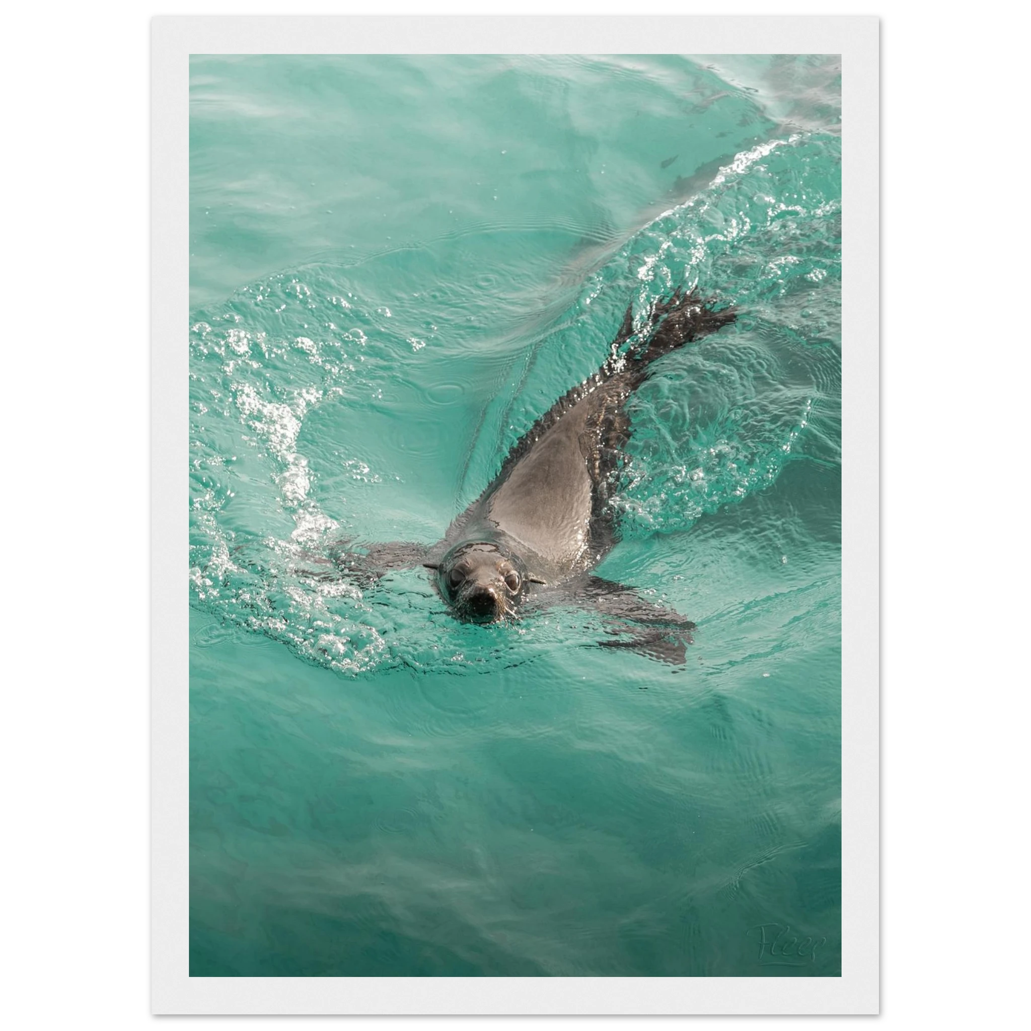 a258ef7d-16c6-4da0-a429-dc128a12c7dc