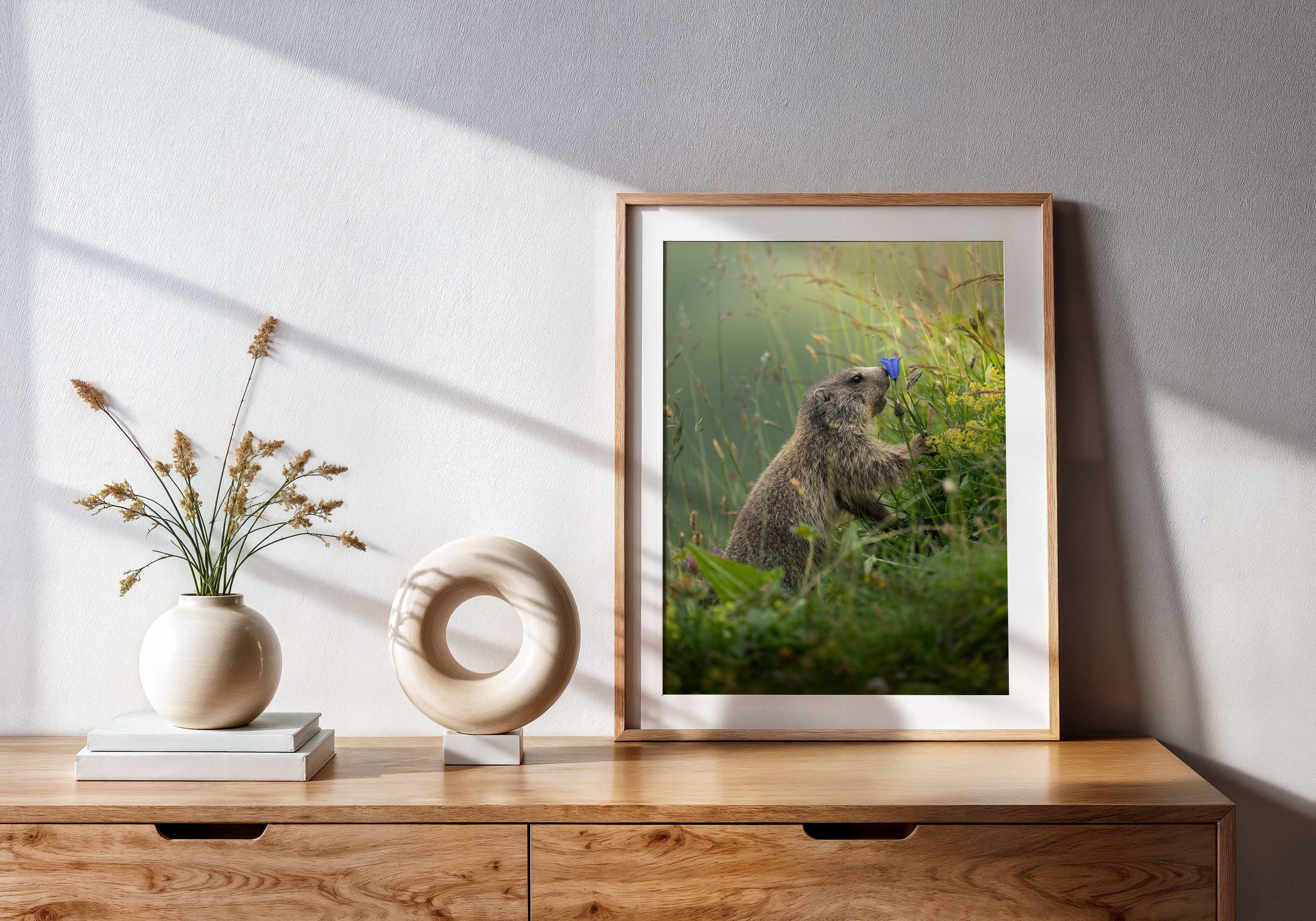 a26e6fa5-537f-479a-b028-406c449dcec9