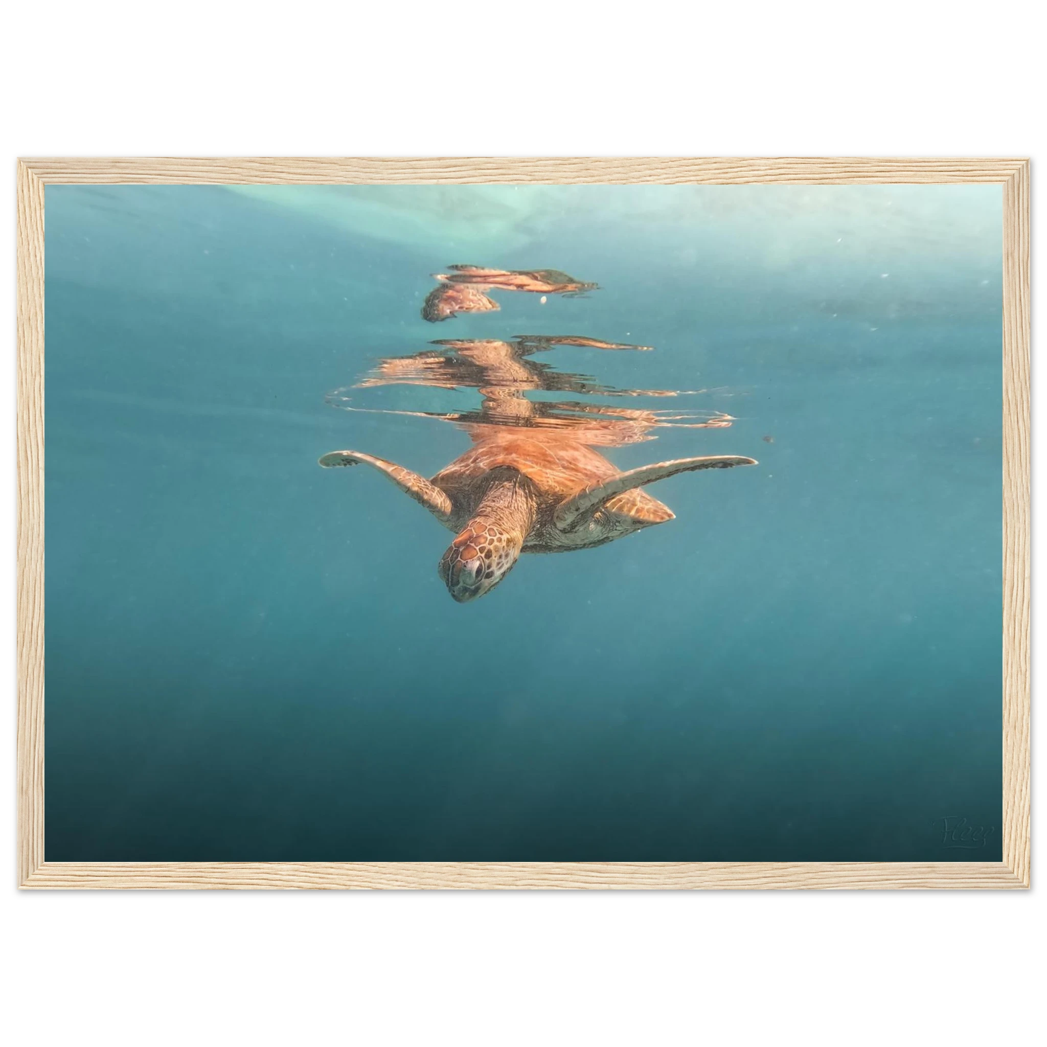 a293b5f7-d93d-40e7-9cef-4a0618f8c473