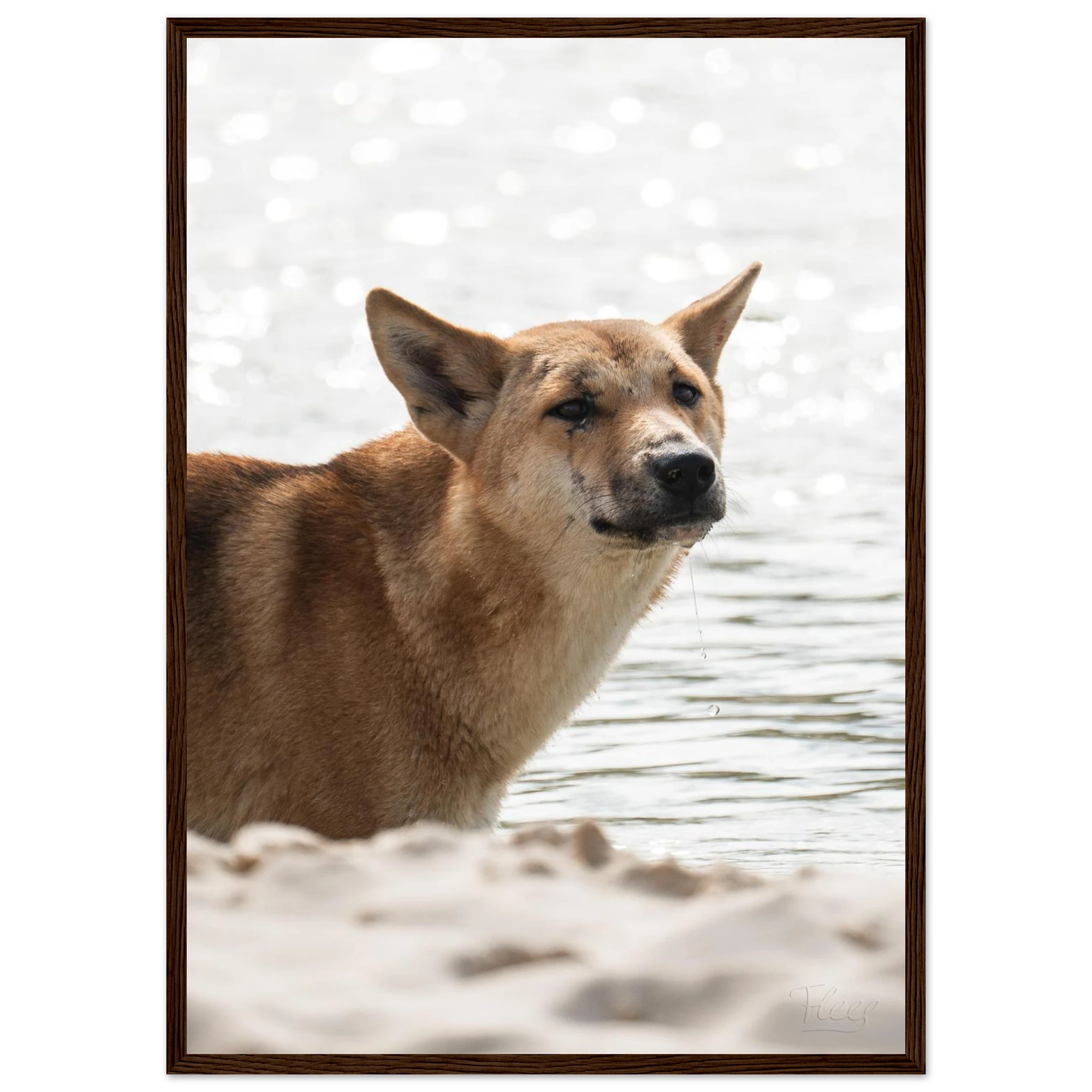 a2b1cfe2-5a47-4476-bfd2-53ccb0ba7bfd