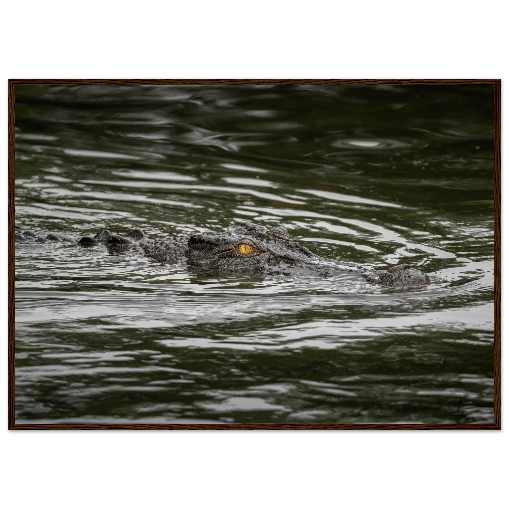 a2ff4cdf-a745-4061-9e39-41c1e94ec536