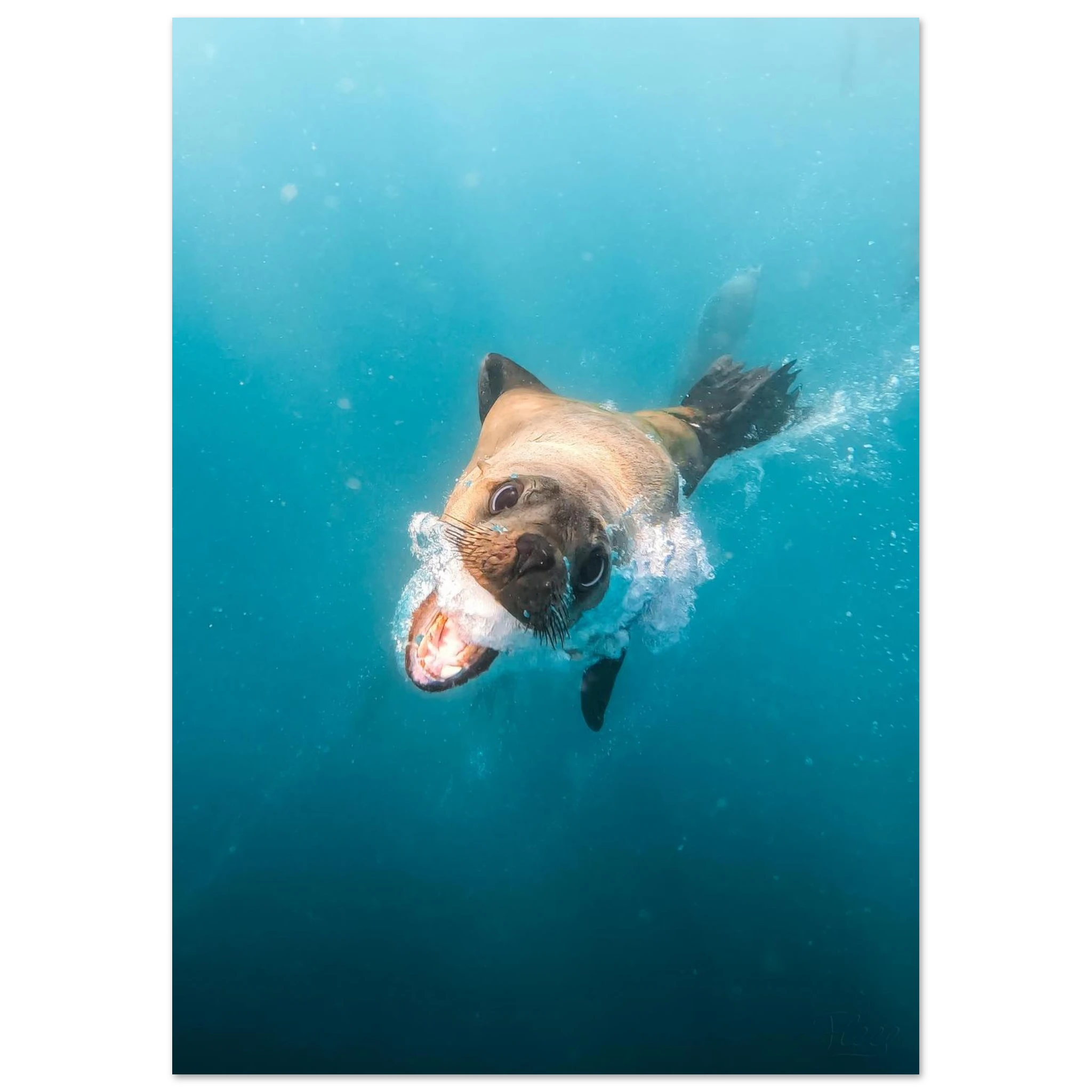 a3094821-427b-4458-b8bd-c5323636c8d7