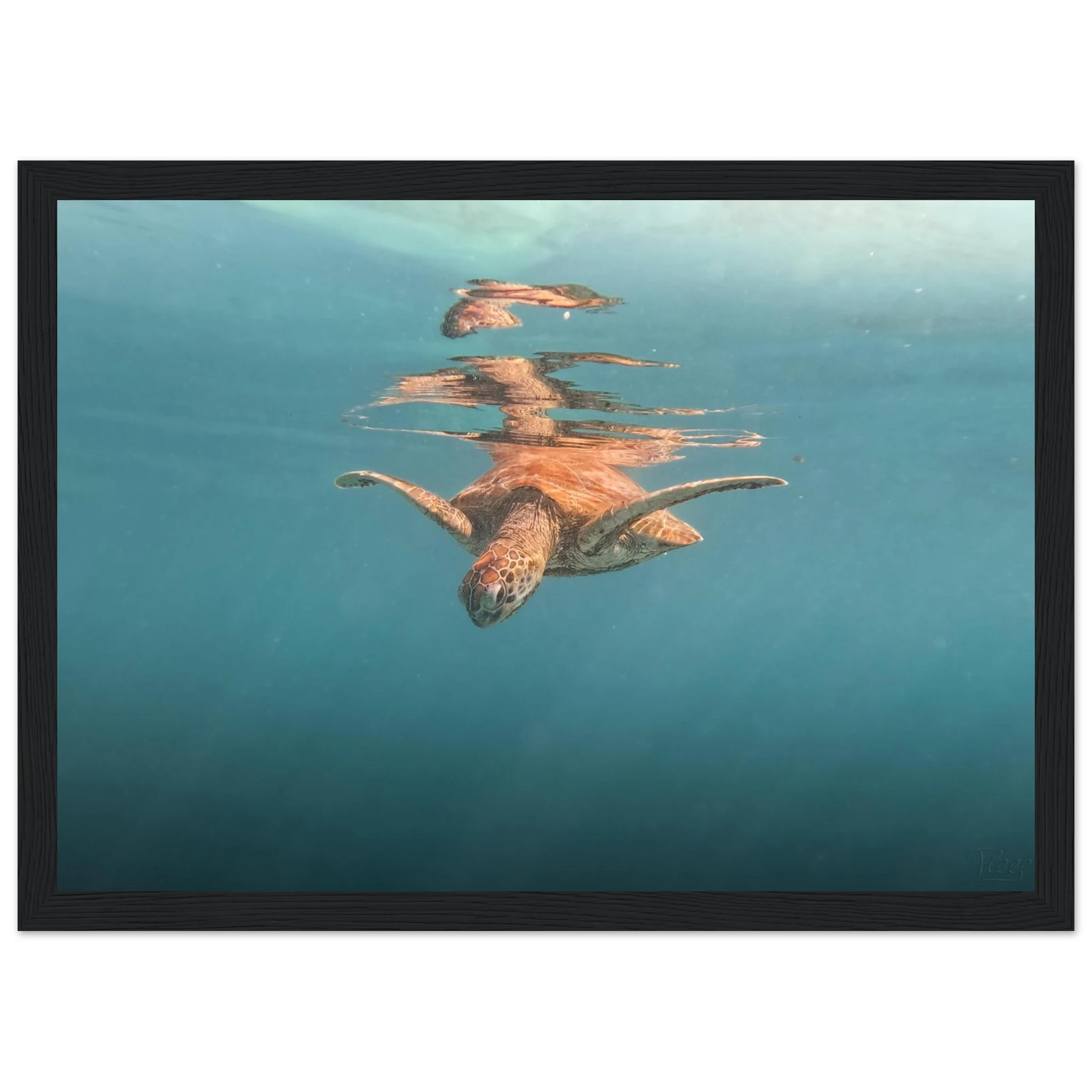 a349b3db-19ad-45e9-8402-874196564c16