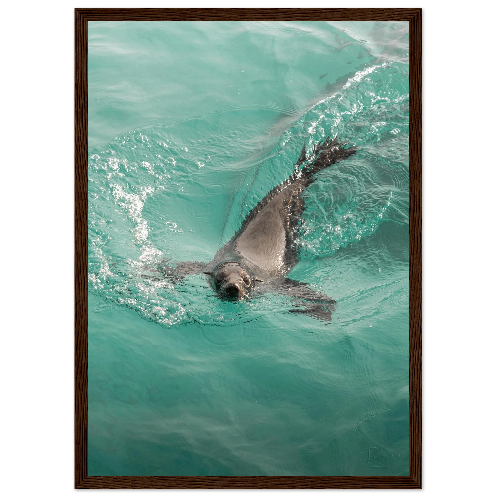 a362ef0b-9a09-49a7-9905-22508baa86fe