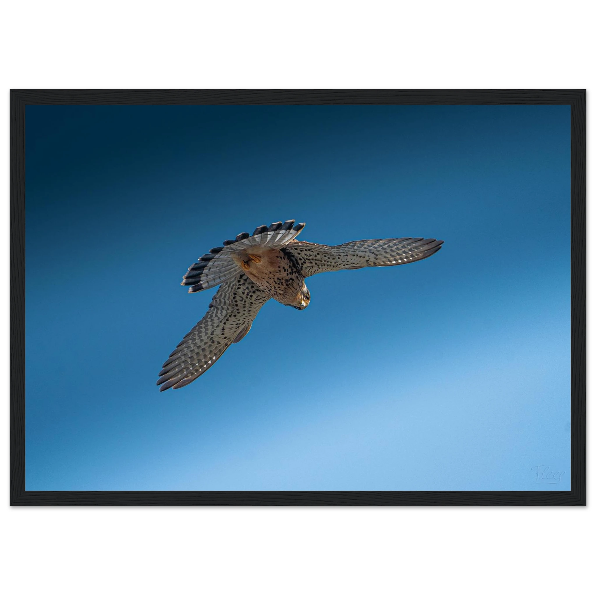 a3cf2c5c-9d96-4e65-b6a1-7a03ddfaa06f