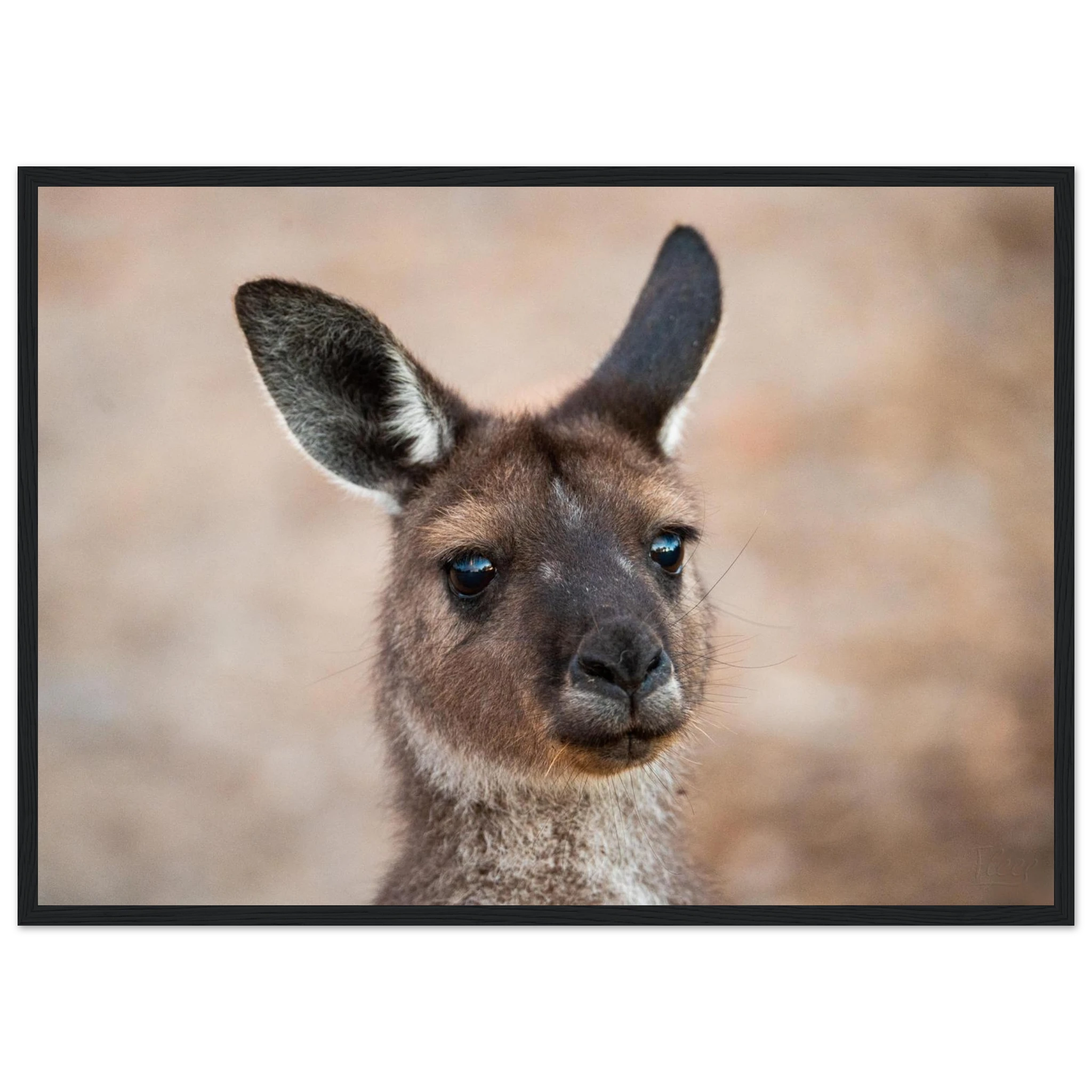 a52d4361-c75b-4be1-bc71-984df709688c