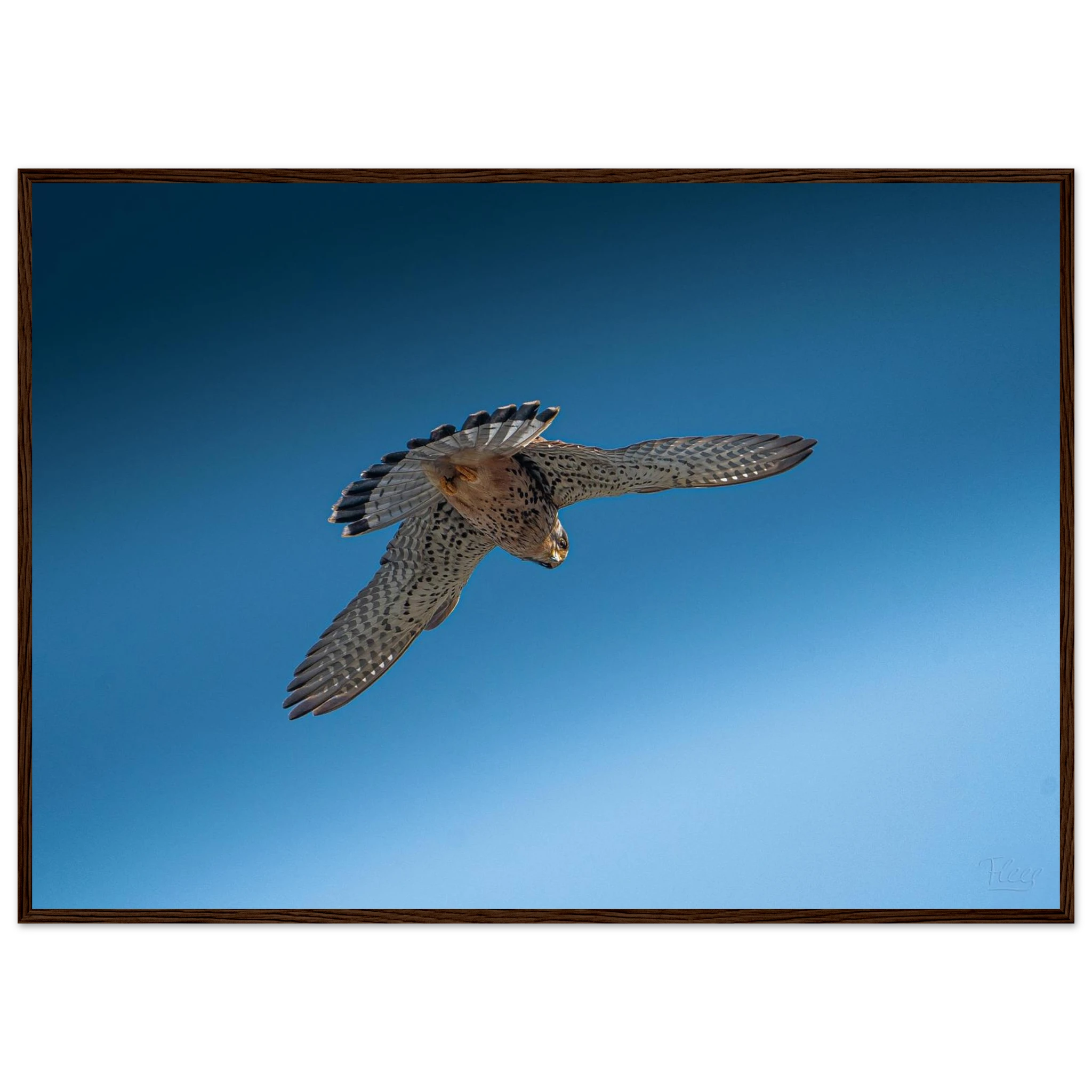 a5ba8a98-b8ef-482b-a4e1-d0c1a48f77f3