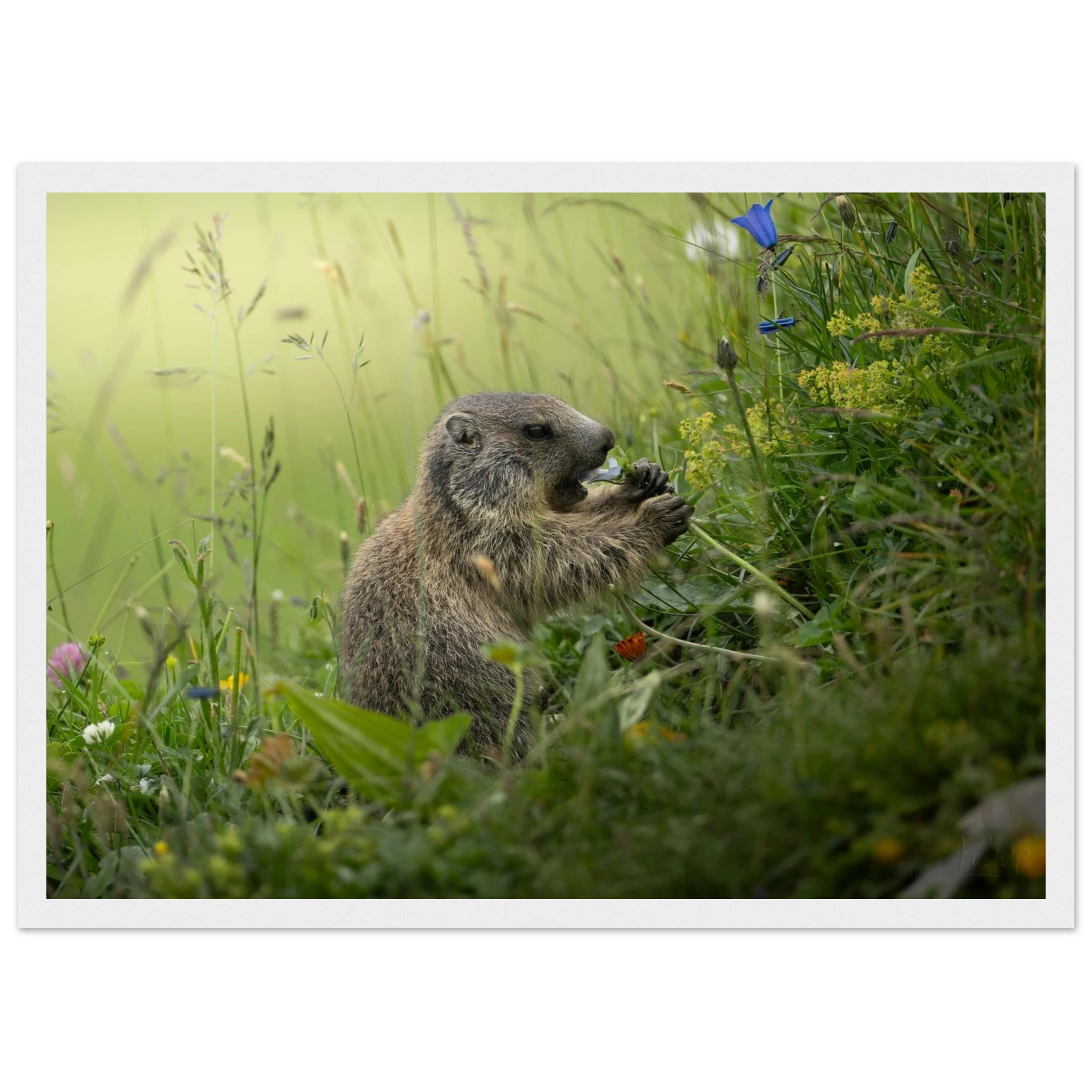 a5da60cf-f672-4ef5-a1b4-a6f2810480e7