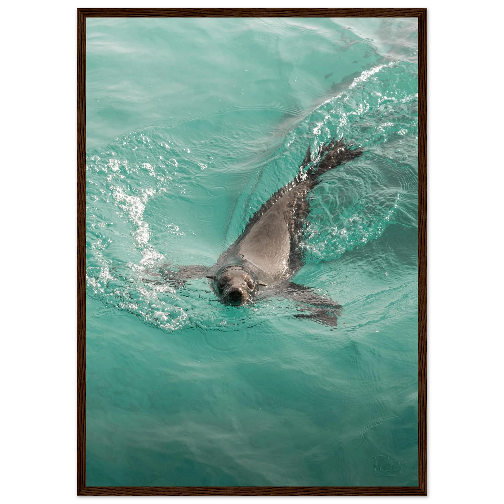 a5f42827-d0de-4b30-8d61-f479600bb114