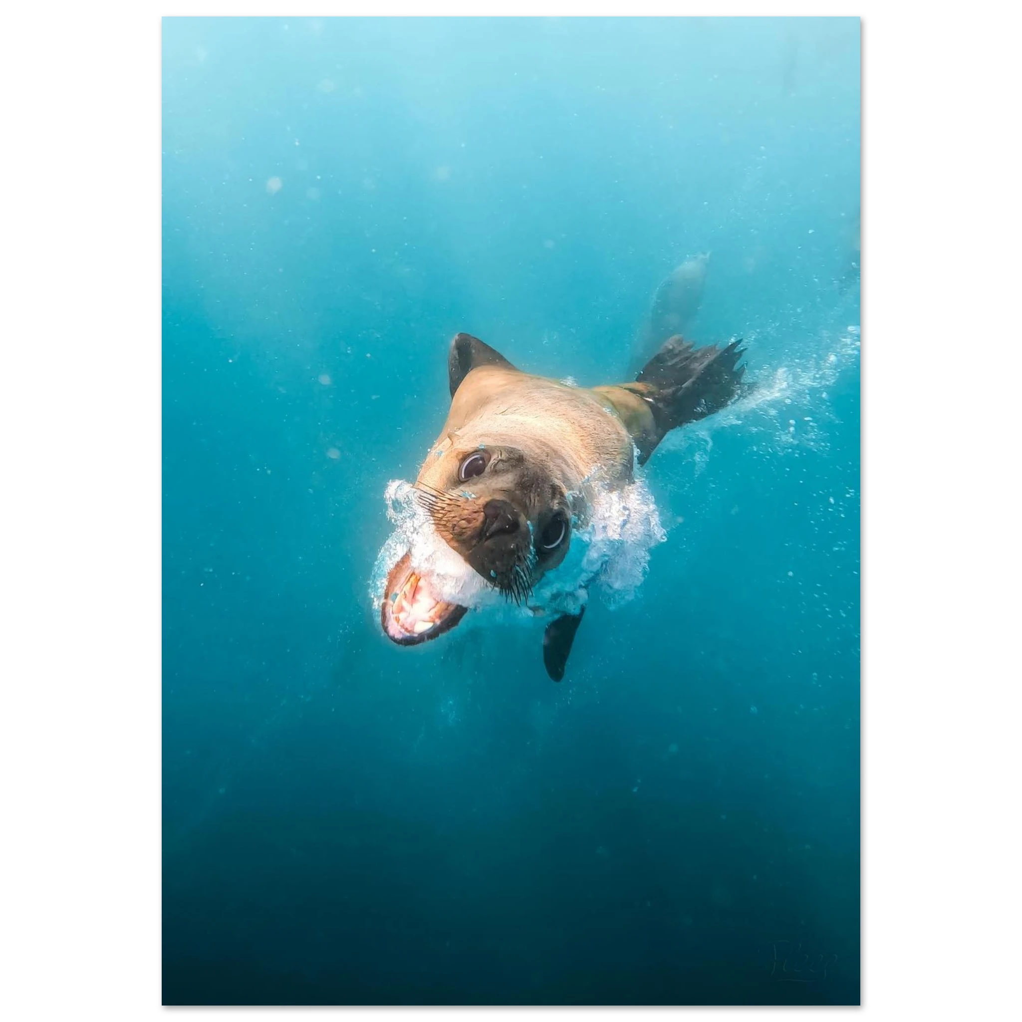 a61415e9-1ddc-4fce-9d0b-3c686ba51a84