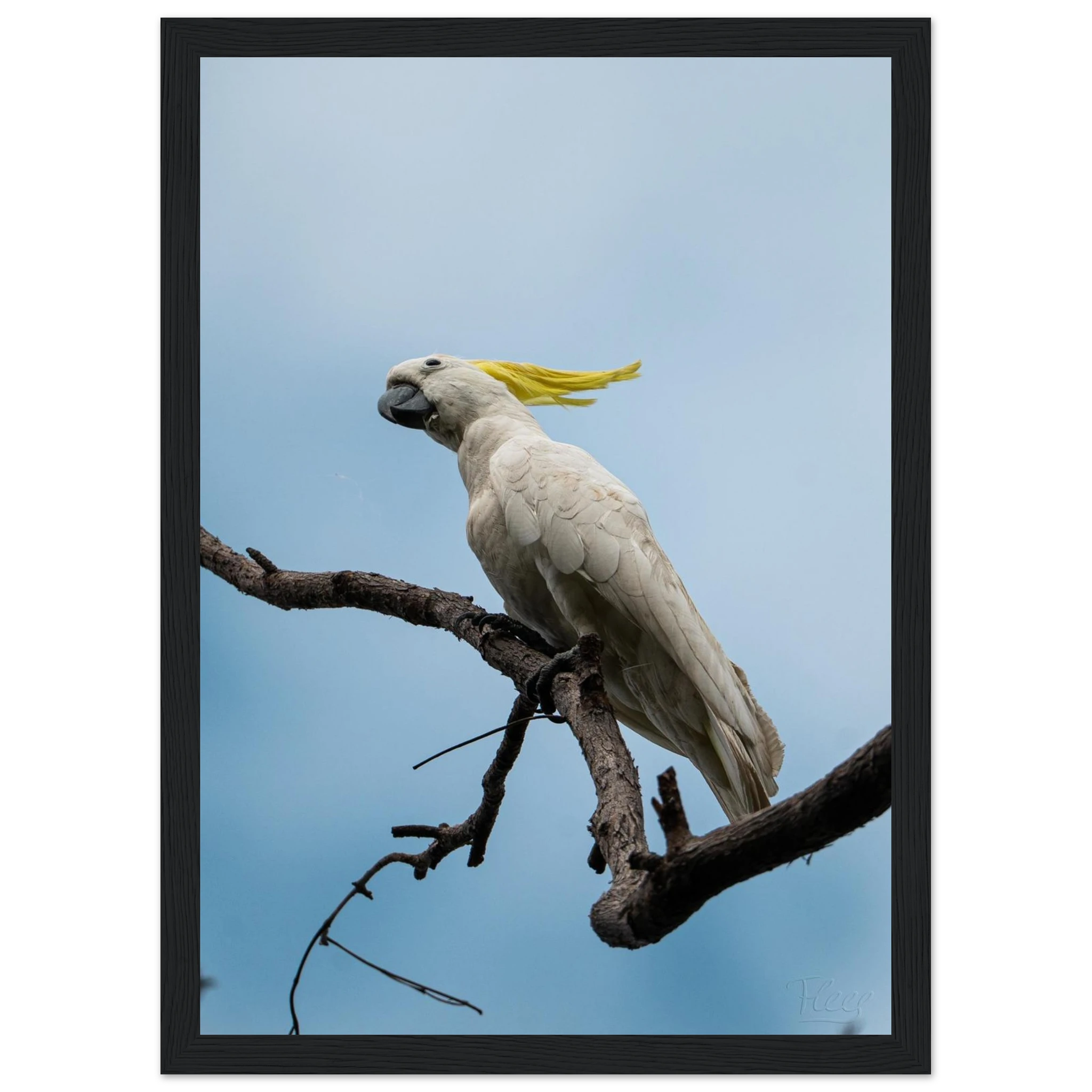 a625dd2c-b527-443f-805f-078e7c4f77a8