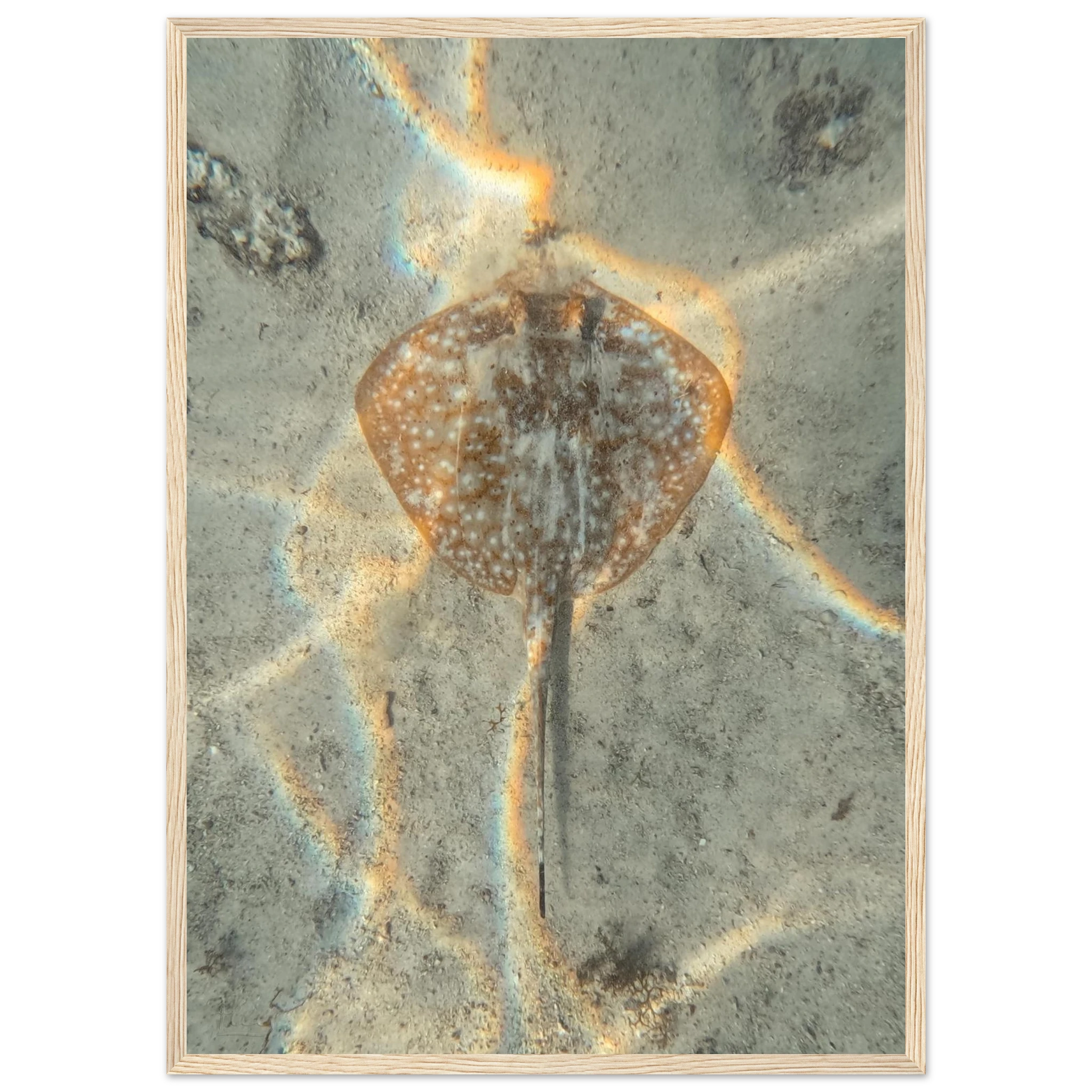 a63bfef7-c8d5-456f-9468-5a16b644dc3a