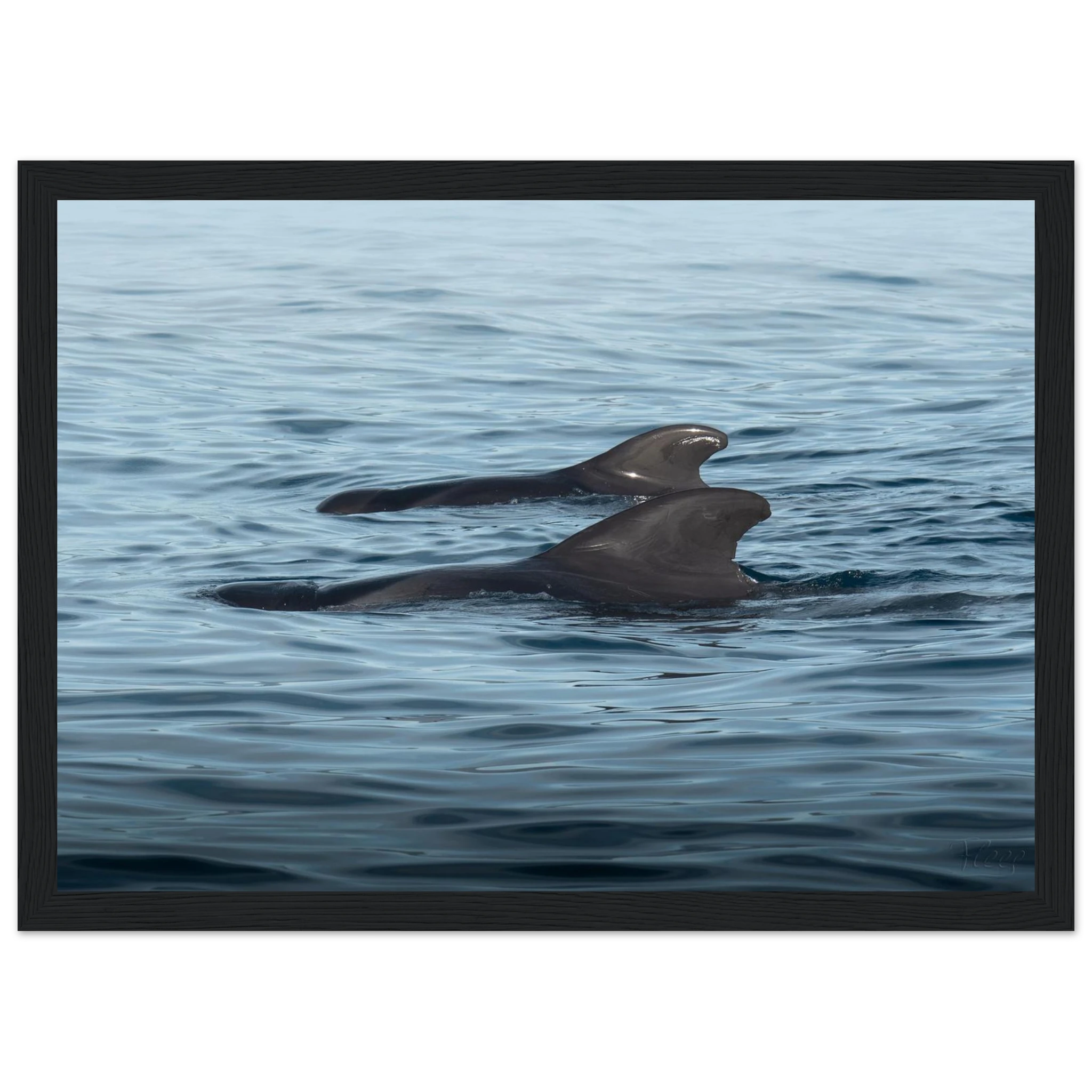 a6b7f6e3-f42e-467b-87a0-abcd31dd0b5d