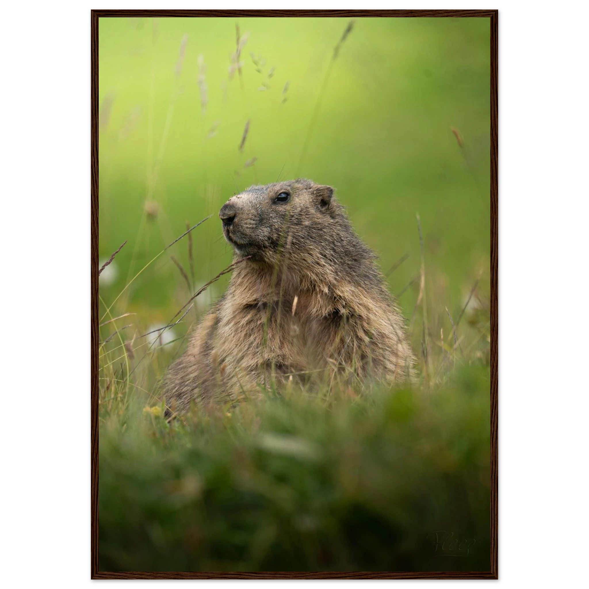 a6c6bb20-18ec-4404-aee8-eb5ebead00db