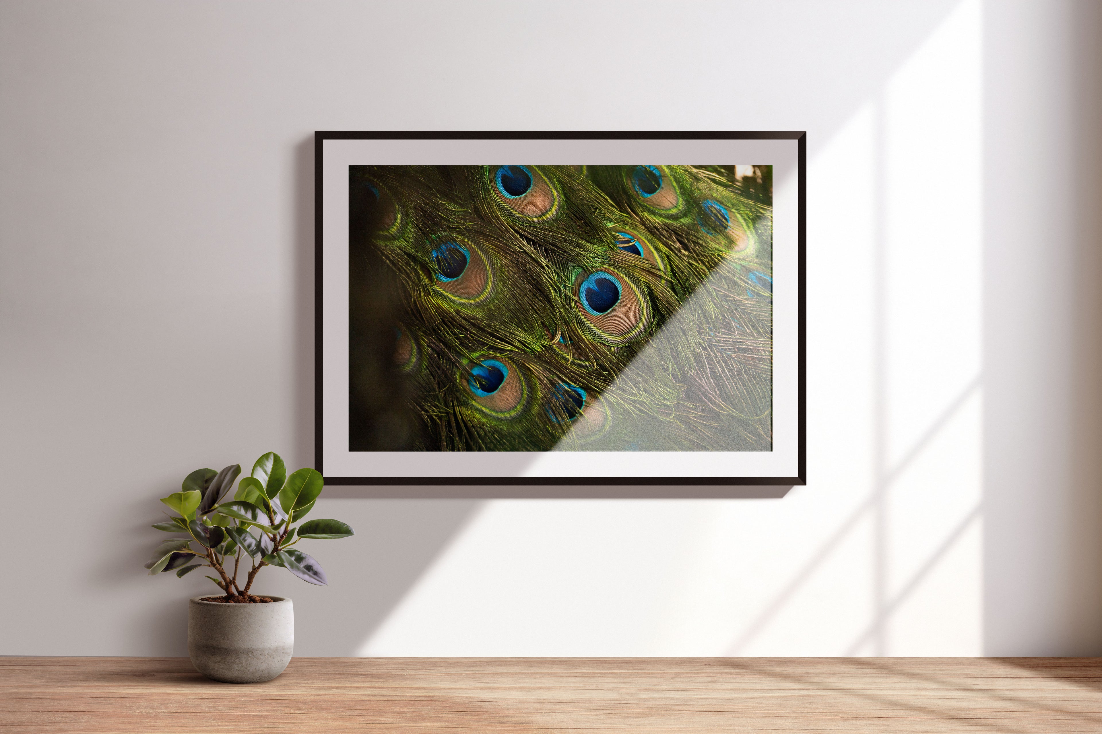 a717c2d0-e06a-4e60-9e8c-8b311ea20b58