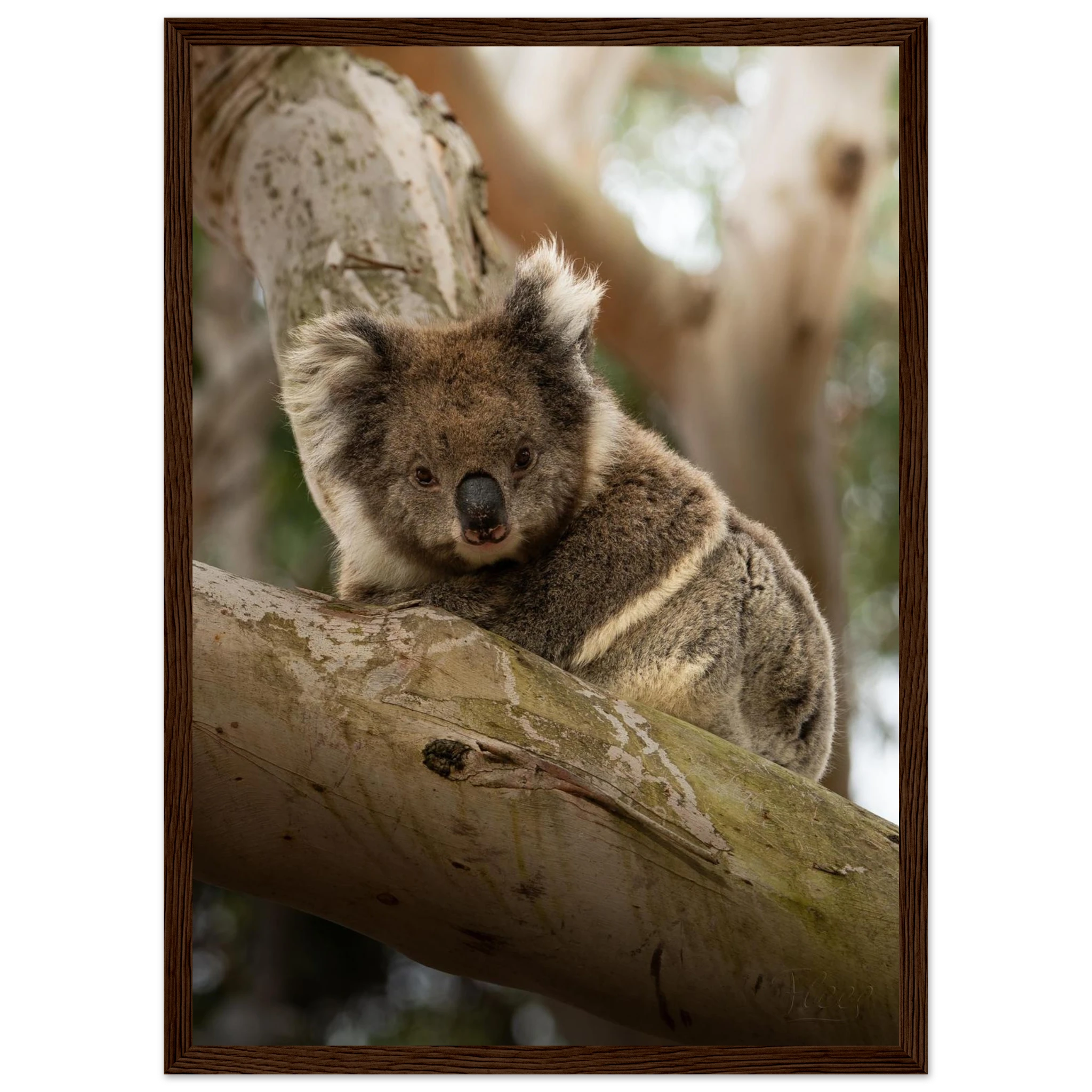 a71af430-1e1b-416b-9586-46e32402e85c