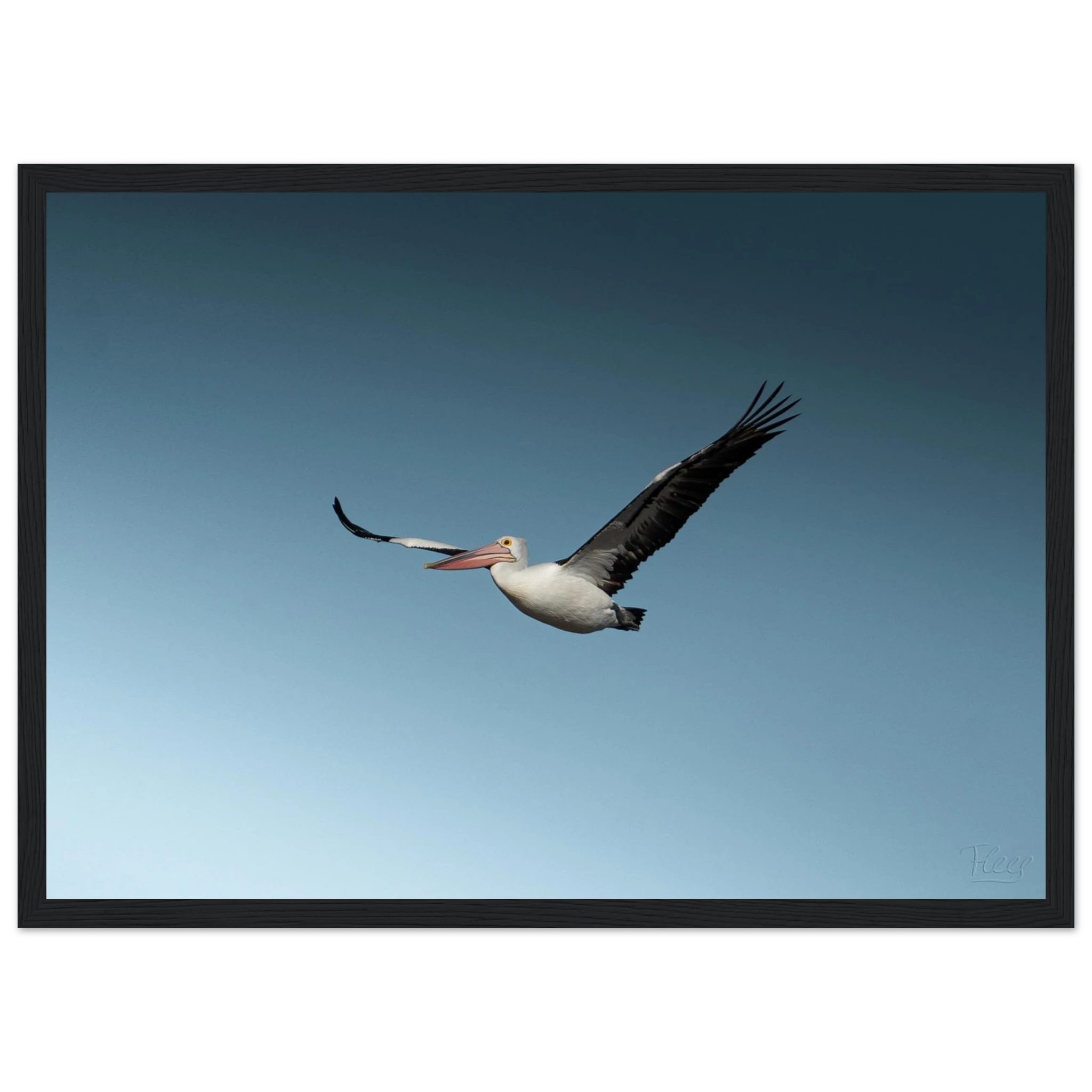 a722ff7e-1d3a-418a-a438-5a974acac46b