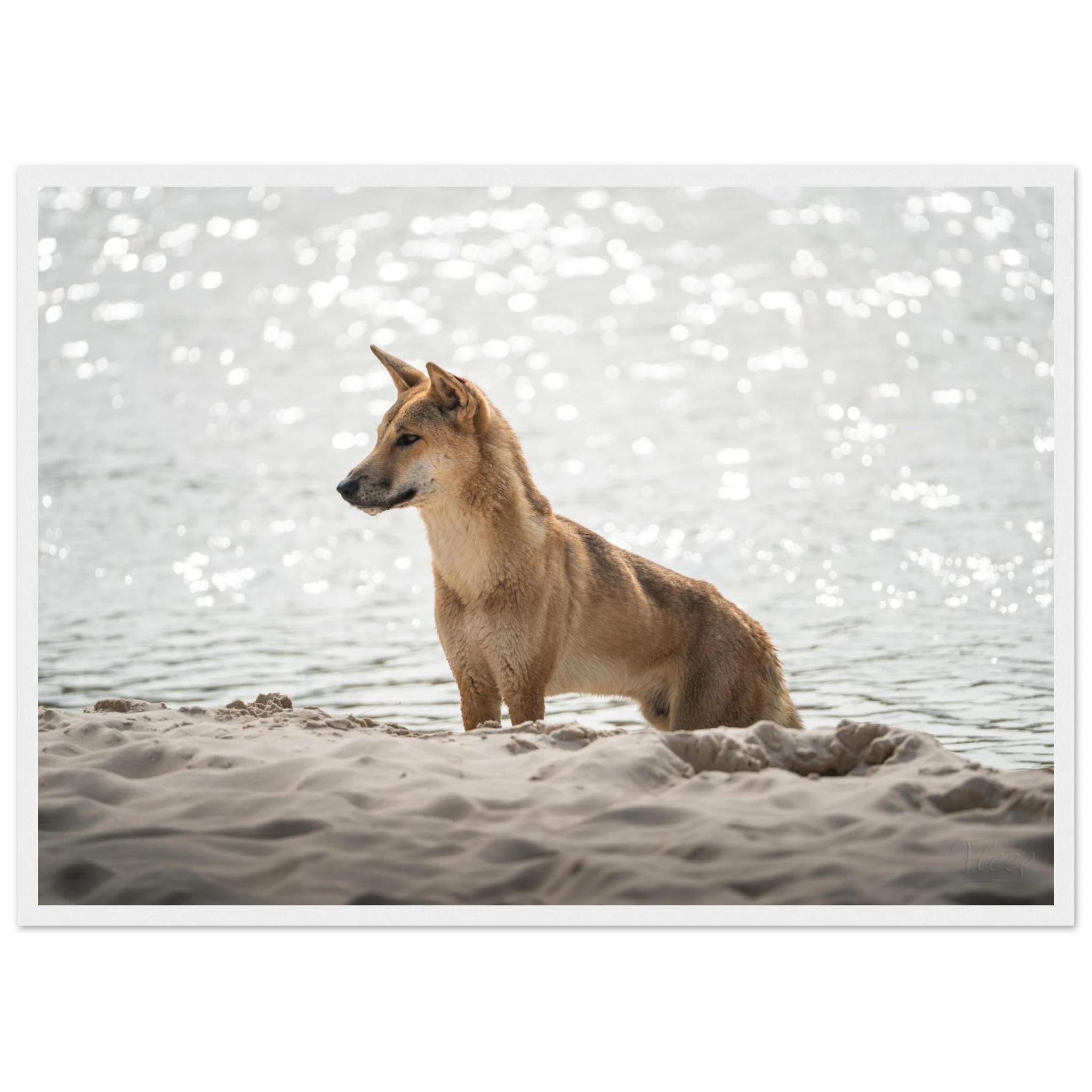 a74b409d-baef-47bc-9ec1-c9734054d8c7