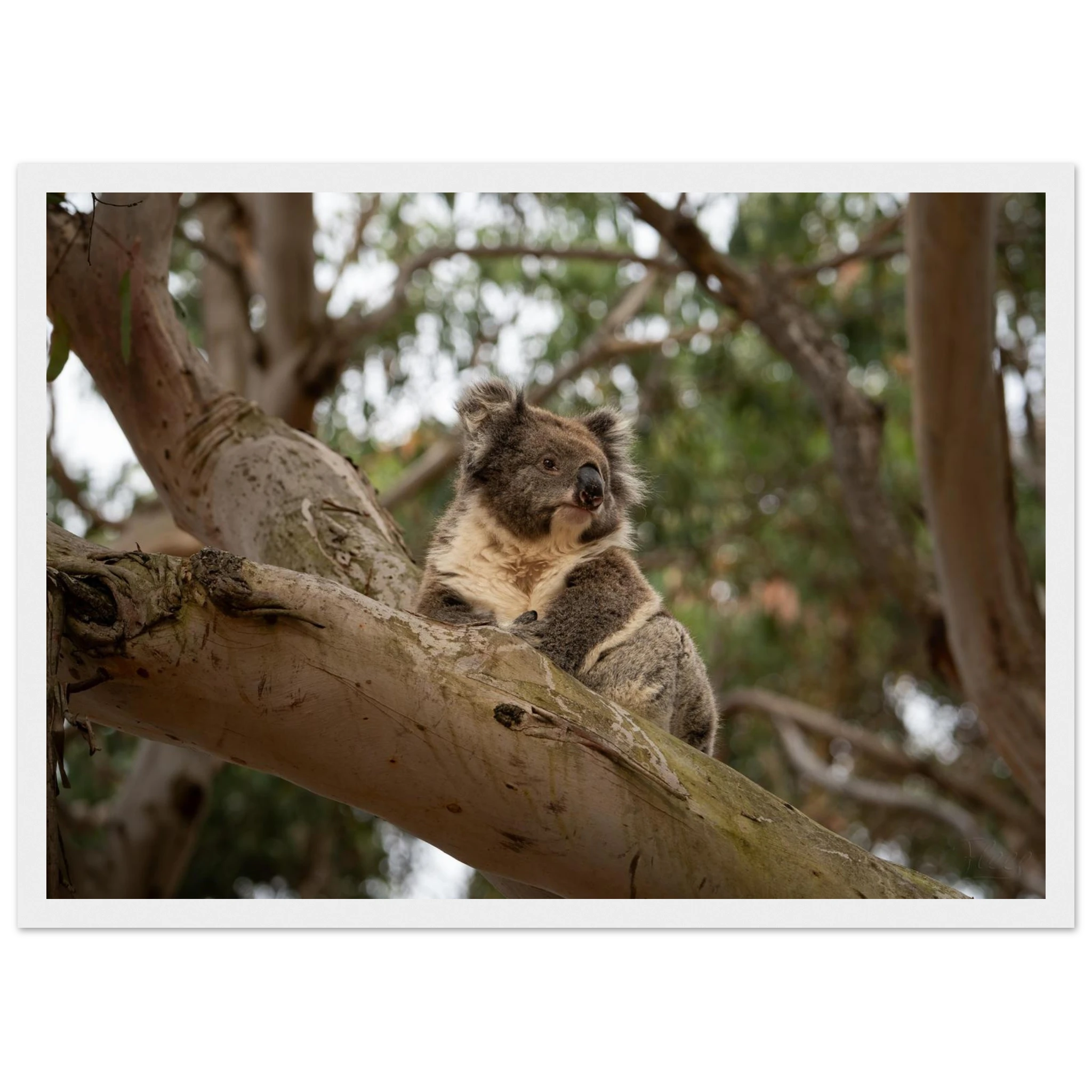 a75d2b8e-7f9a-4272-90a5-037a0280a97a