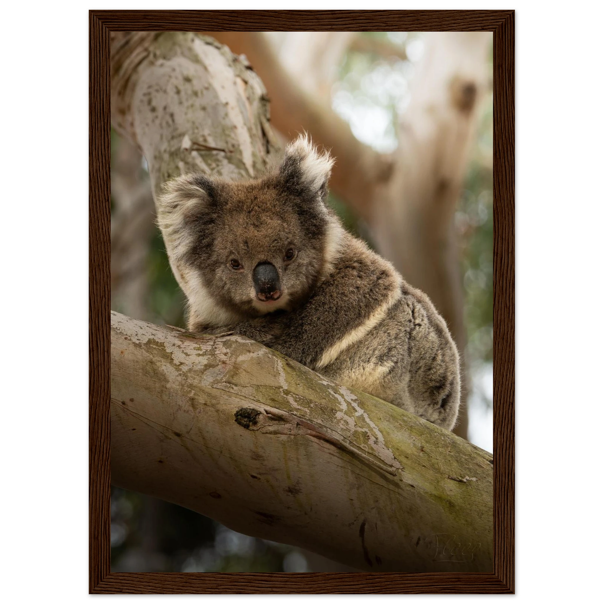 a812a9cc-18da-4316-8da8-5afde9e8ee9b