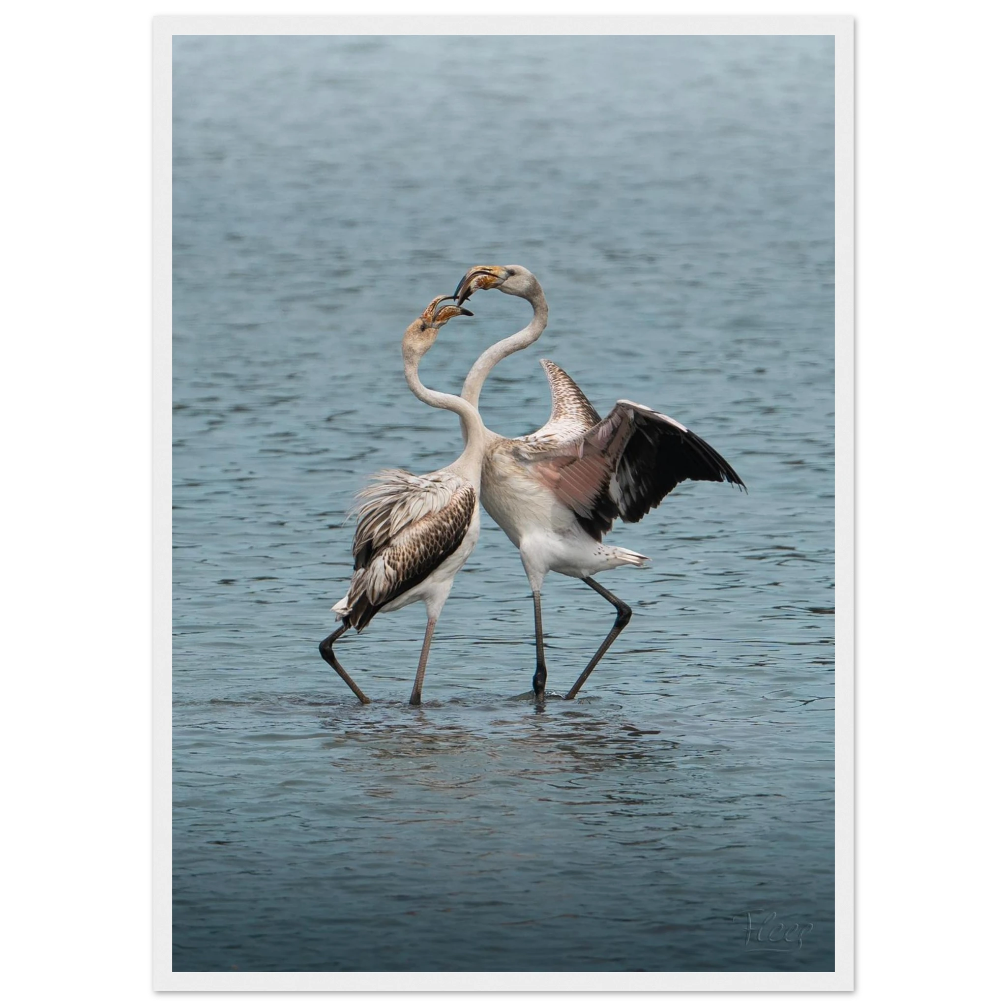 a817e14d-839a-4b70-8c95-8b0ae8dbd4ad