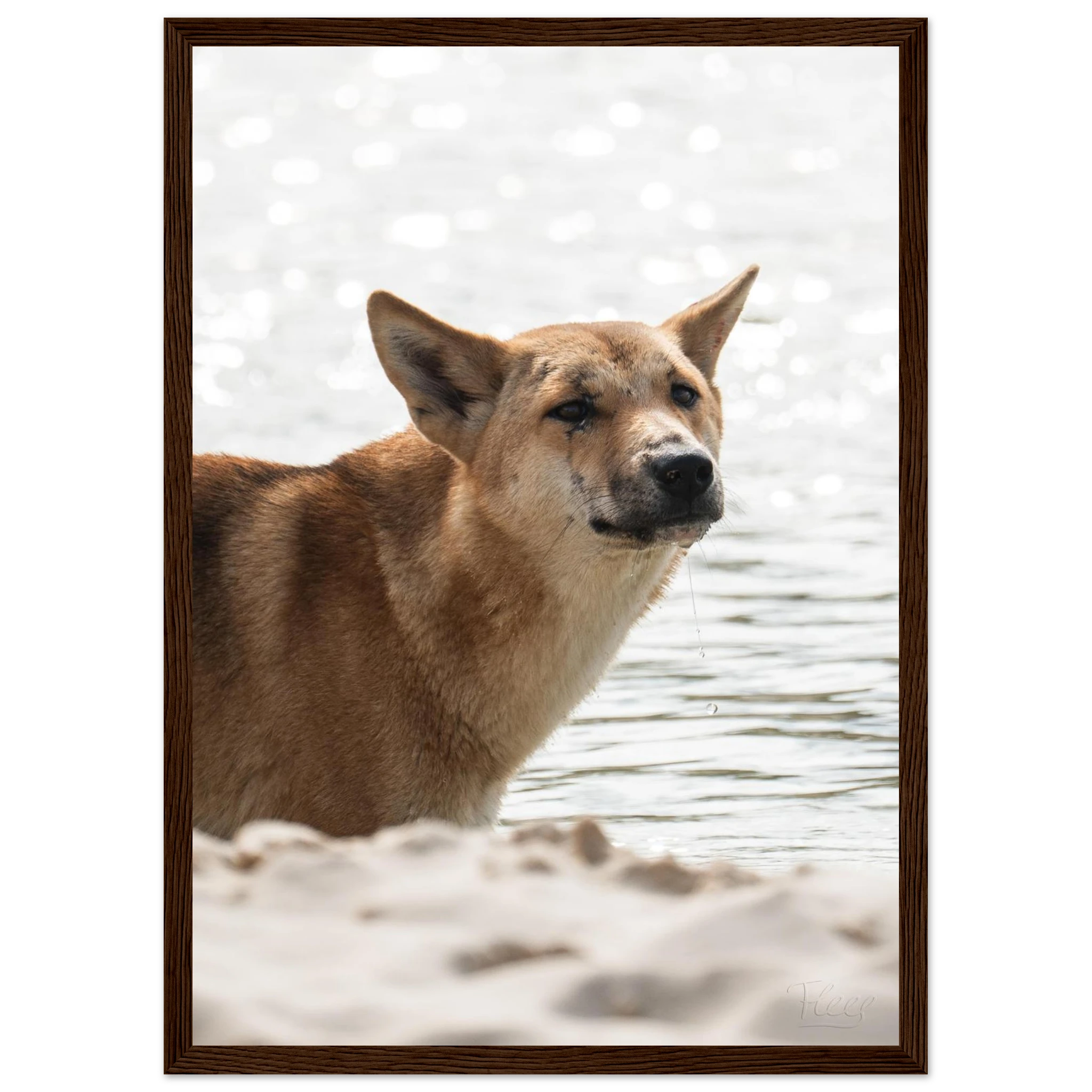 a874d3b8-d463-495f-9425-a04e494f3ab4