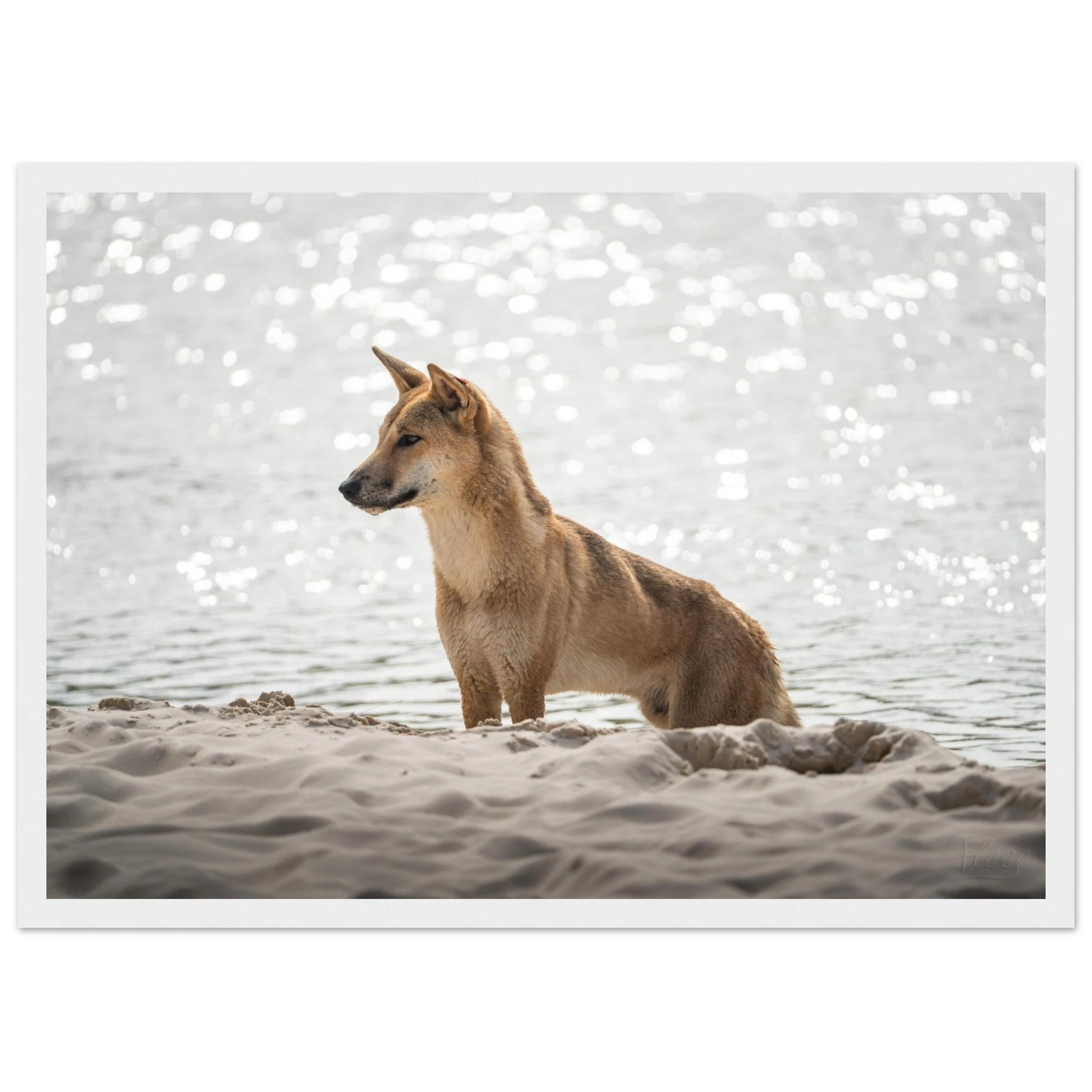 a9564856-bbad-4f63-a29e-f1f8a0f8cf0d