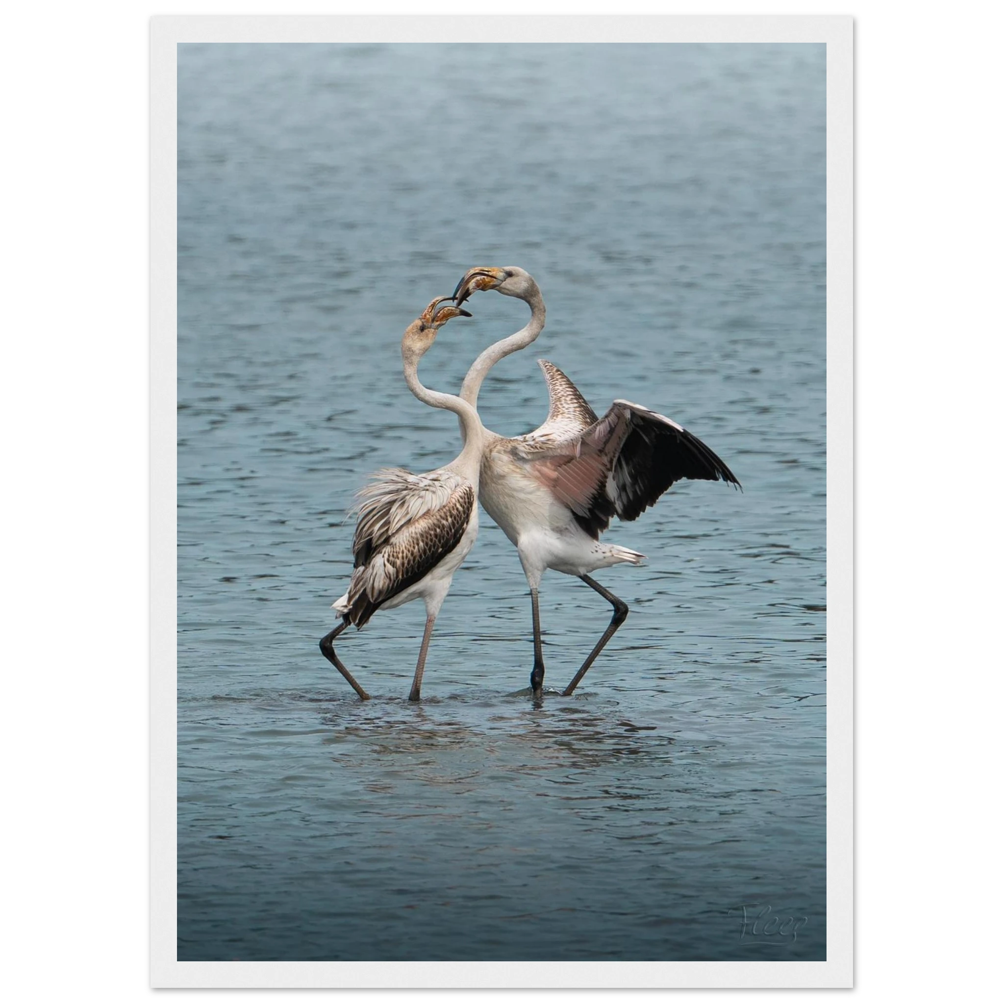 a9c81415-6d37-4be8-bb7f-b790565306e0