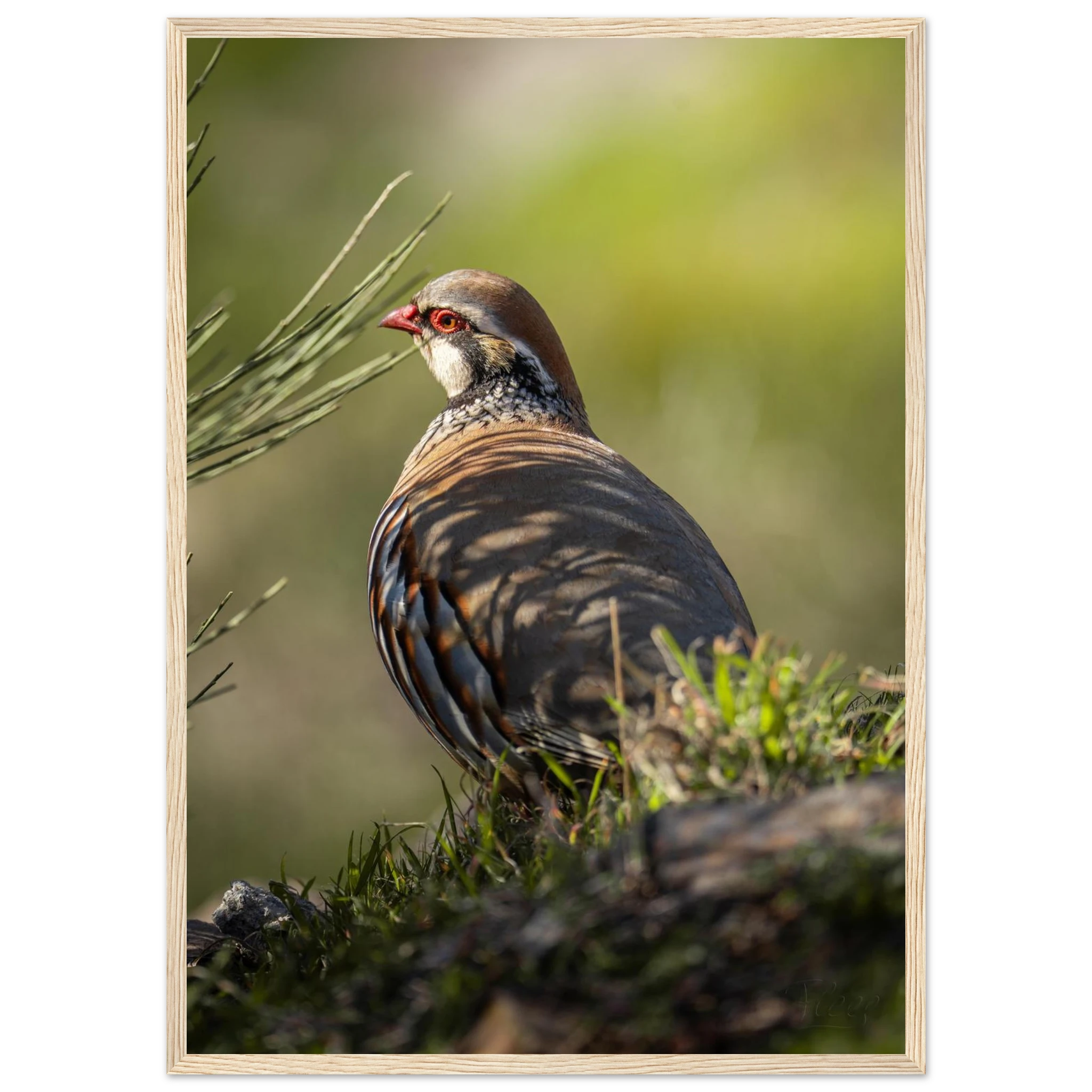 a9fbcdc1-d254-40c1-8f4f-9a29478cacf5