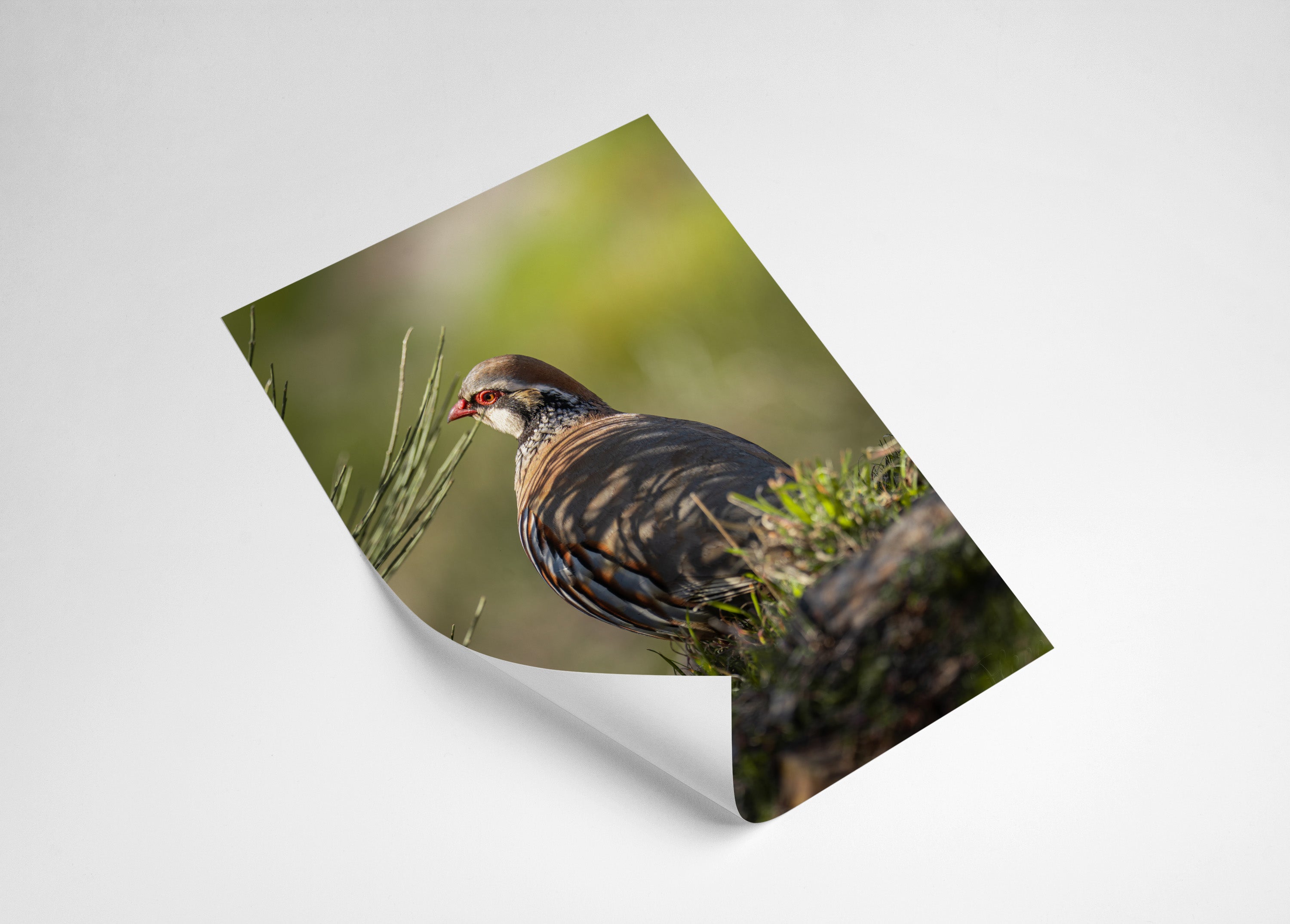 aa28ada4-8424-4539-a3ee-a563d8930495