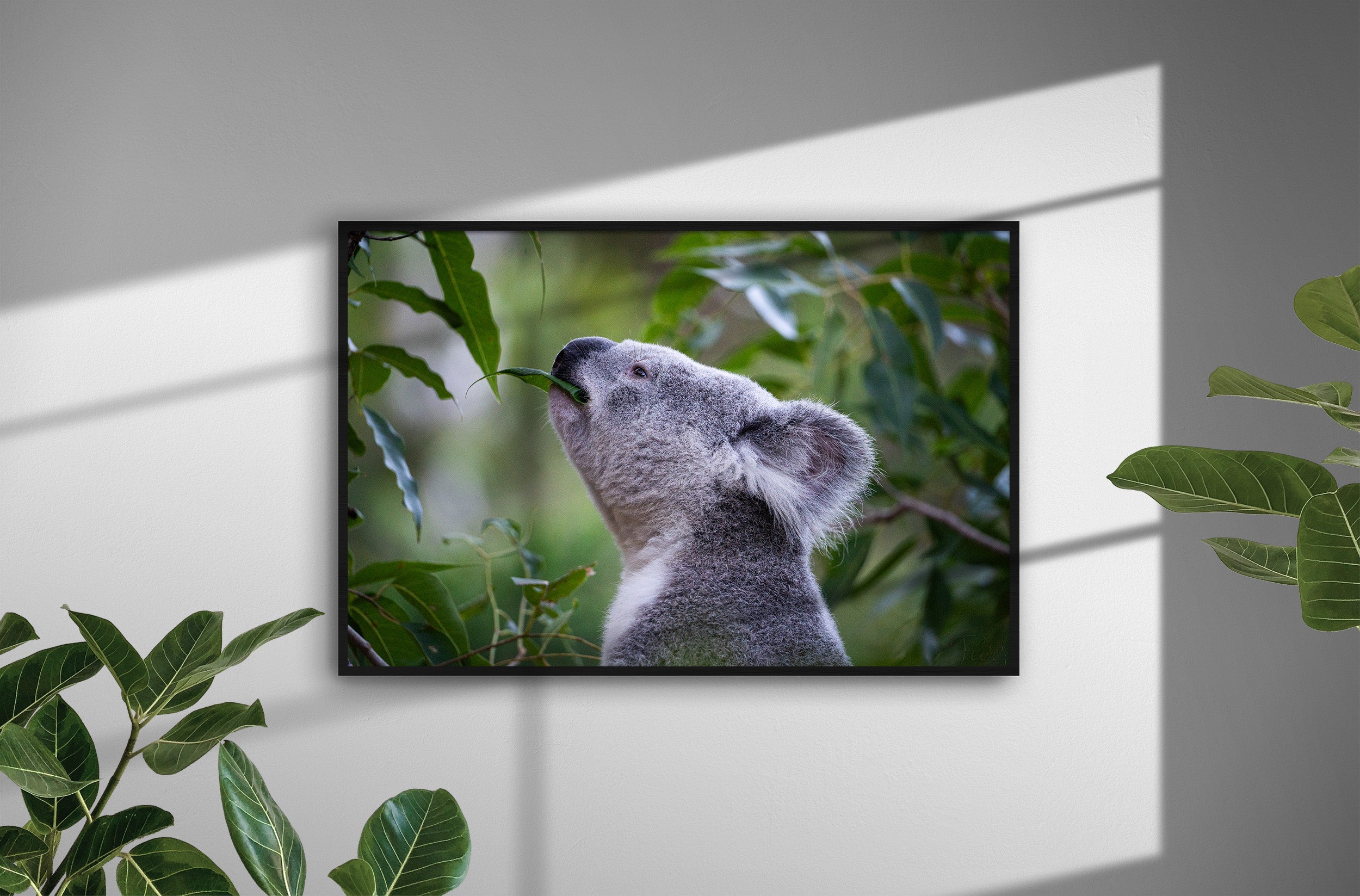 aaba2b17-aa7c-499a-ac4e-5e568fd792ec