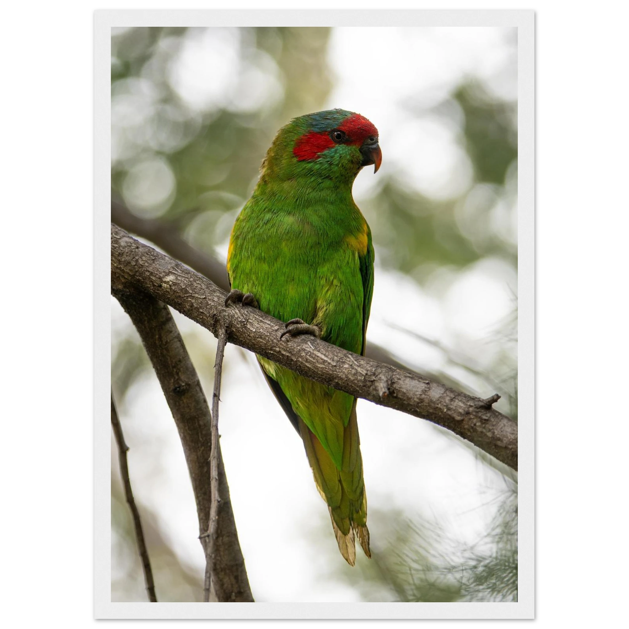 aafb8802-c63a-407d-b76d-9cd8befd9995