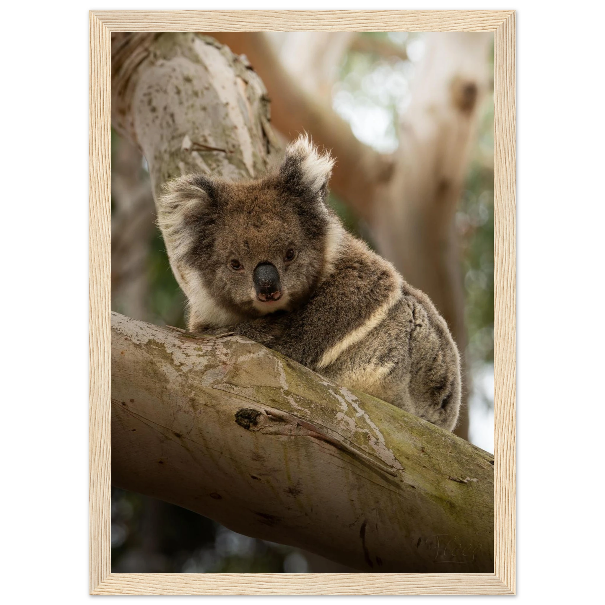 ab04b16c-1535-46c1-aeda-1ab8ebb27aa4