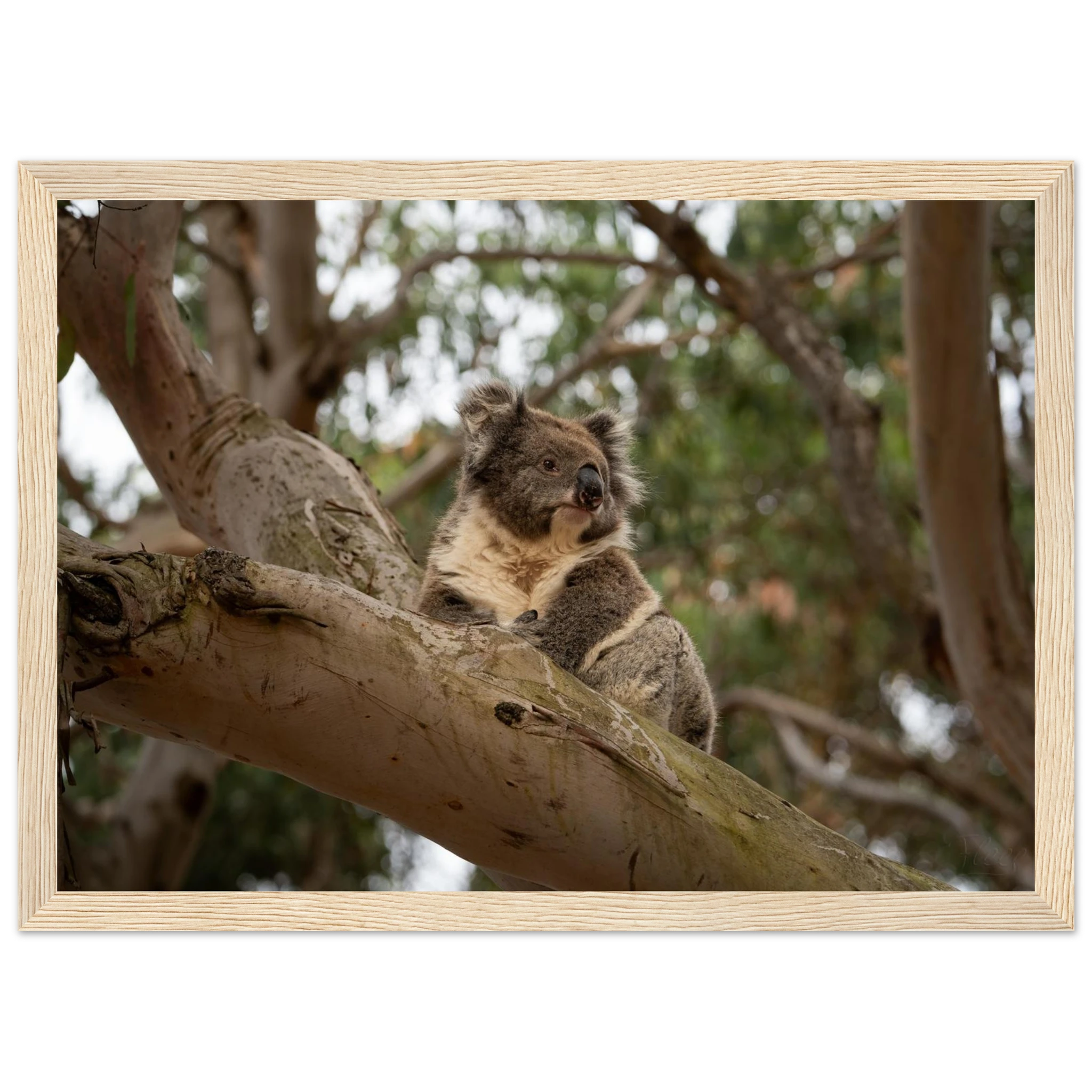 abcfacc4-0147-4ada-a0aa-3ec49a41b371