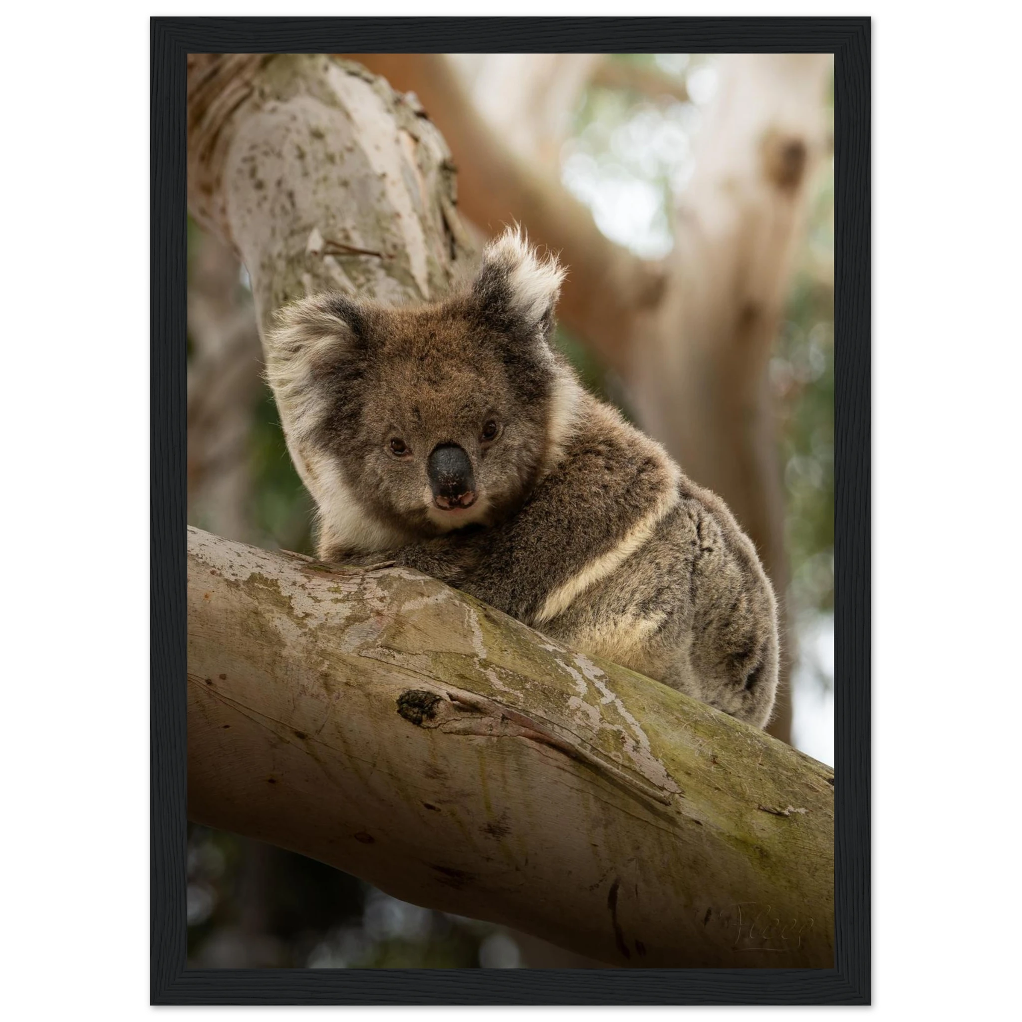 ac07ed37-784a-4db4-9c54-5bc10ebf00c2