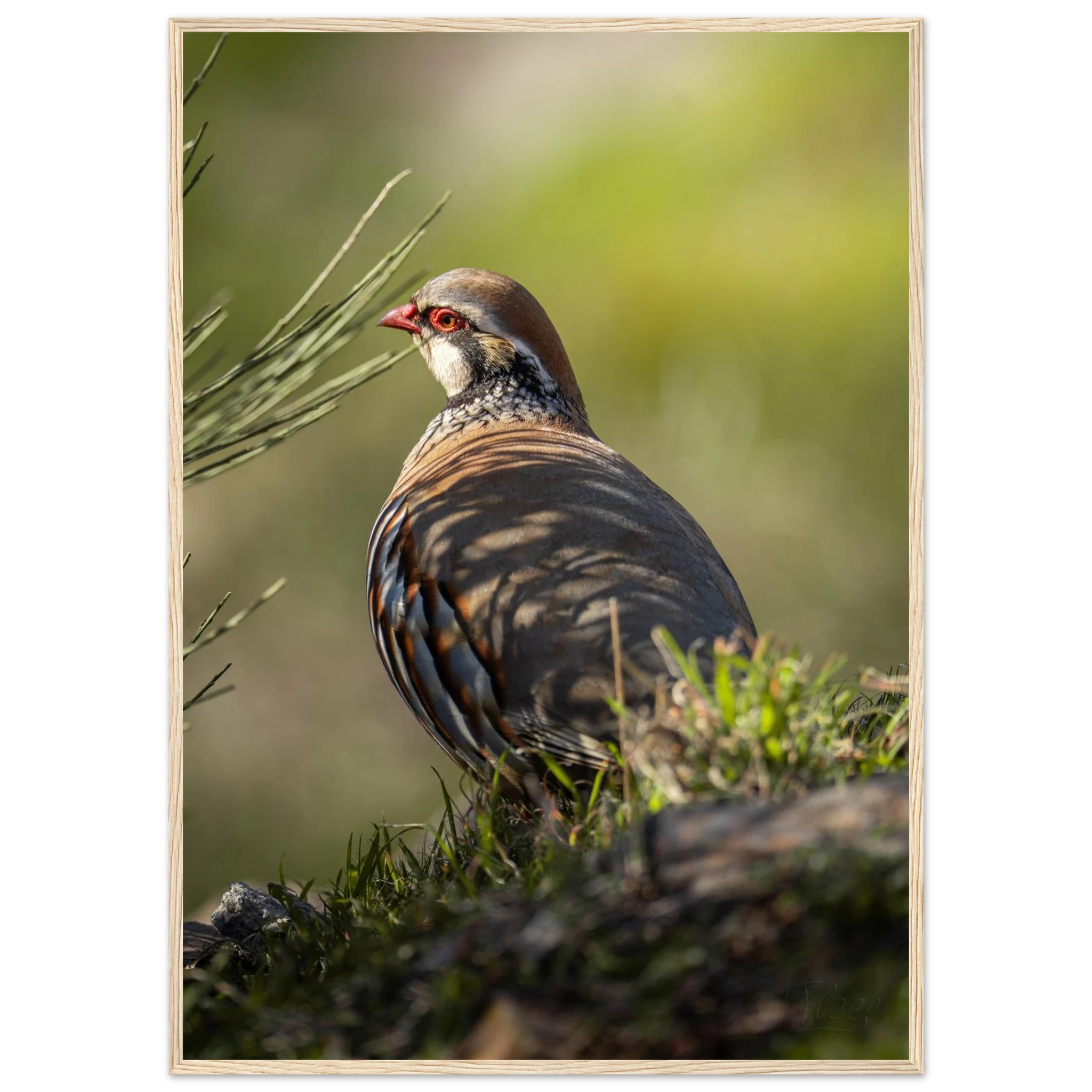 ac1607cc-cfb4-444a-b2ad-aecb51b685c4