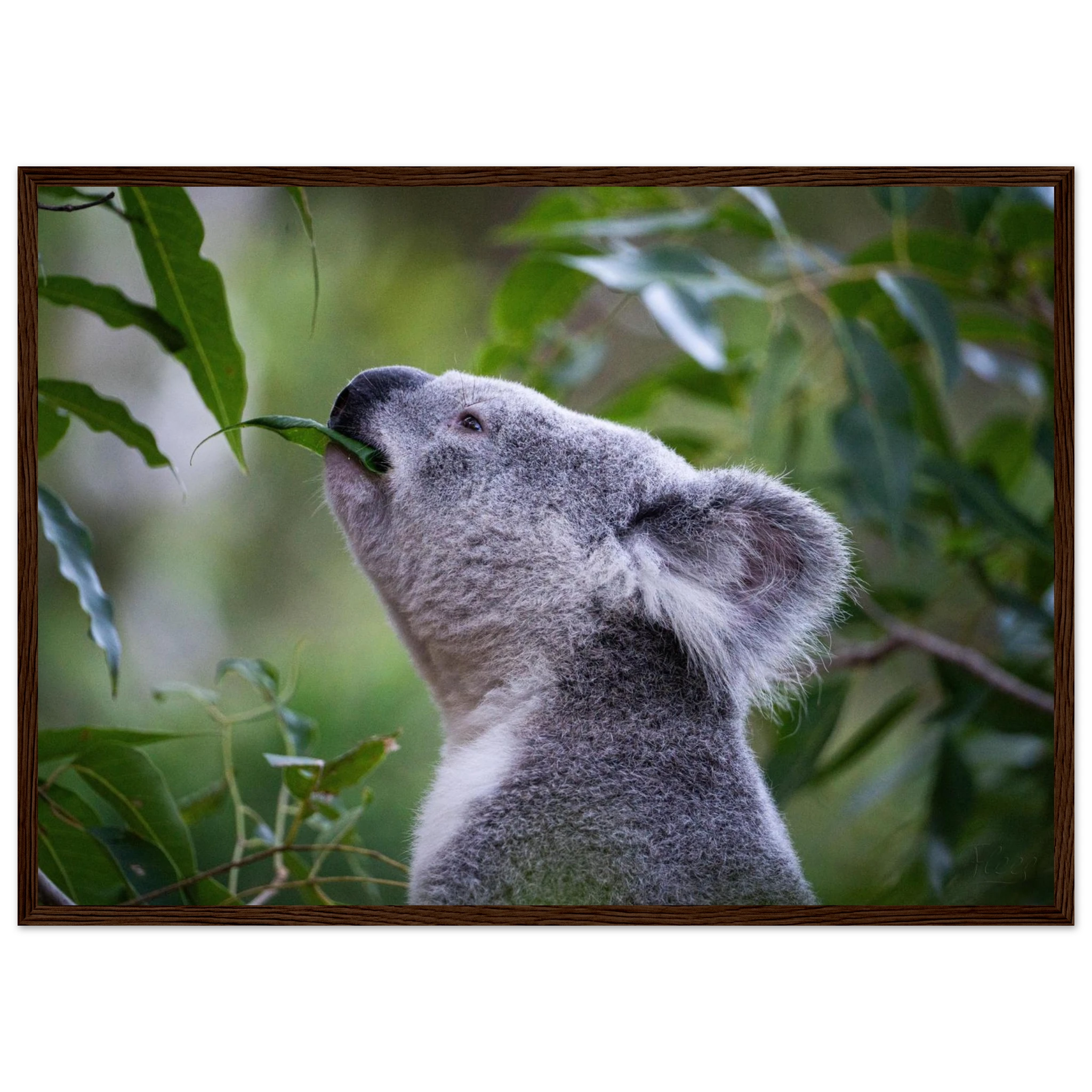 ac27b208-60fd-4b86-8159-b99013157a4a