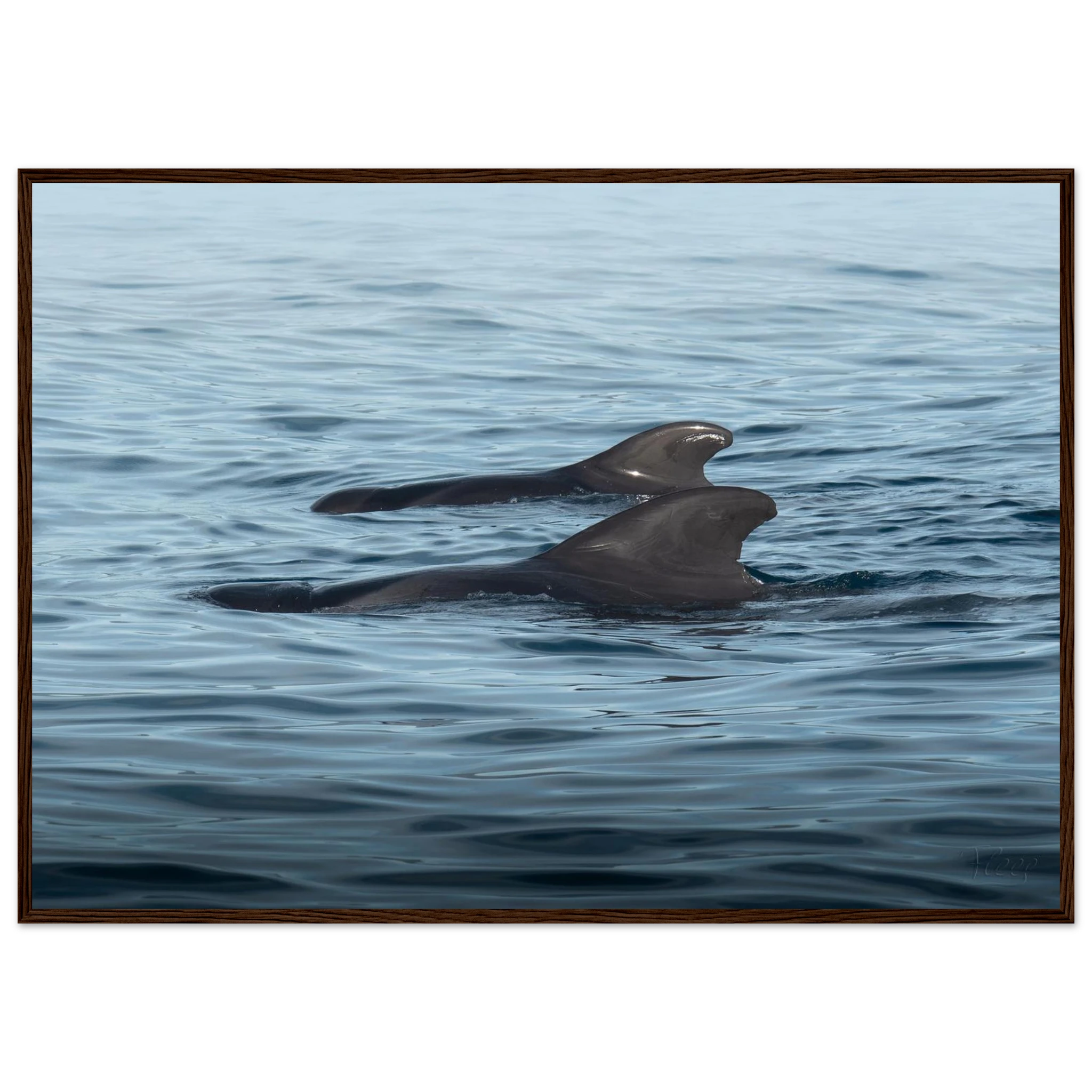 ac62d2c3-2e65-4724-ae71-75ff094f4d76