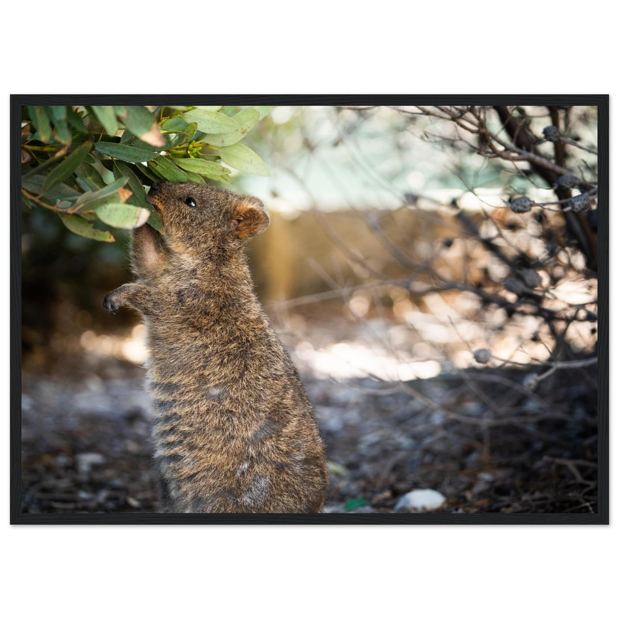 ad25e569-6ecb-414b-972a-646ca9916539