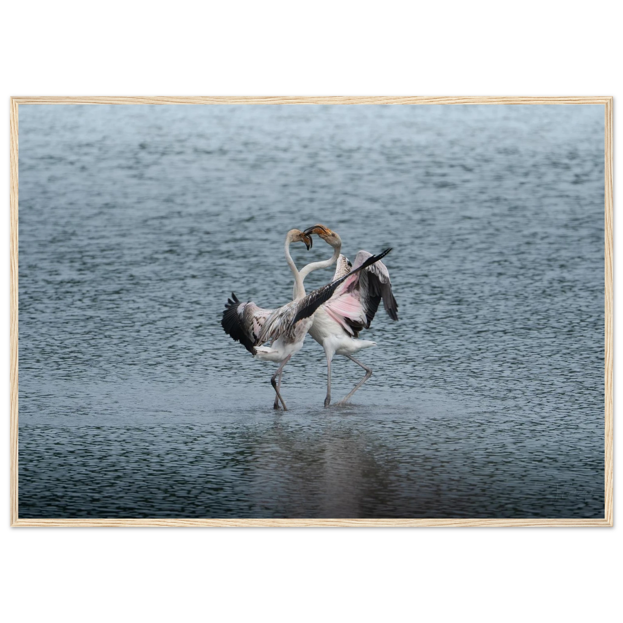 ad40bf58-7146-42a2-9917-abe355d628d0