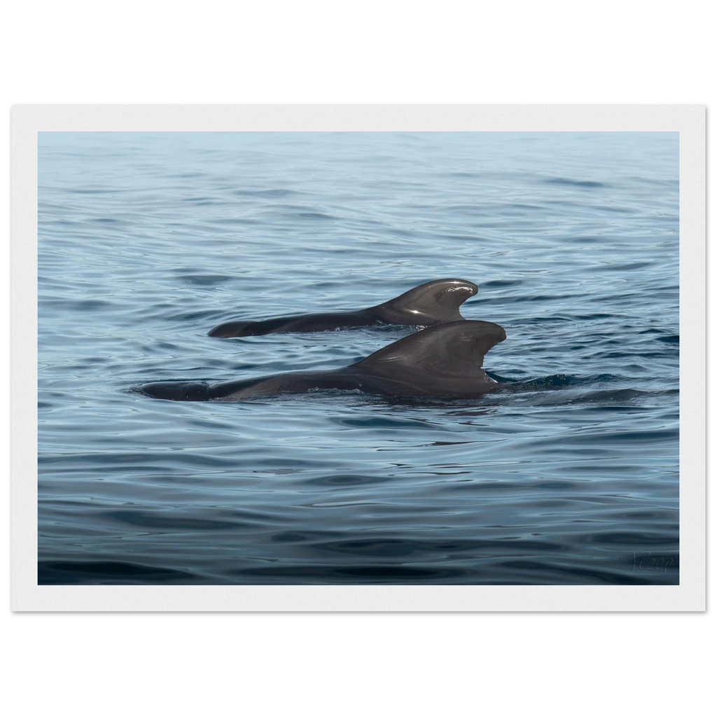 ae8fcf11-9f52-47de-b393-e0fc53710239