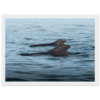 ae8fcf11-9f52-47de-b393-e0fc53710239